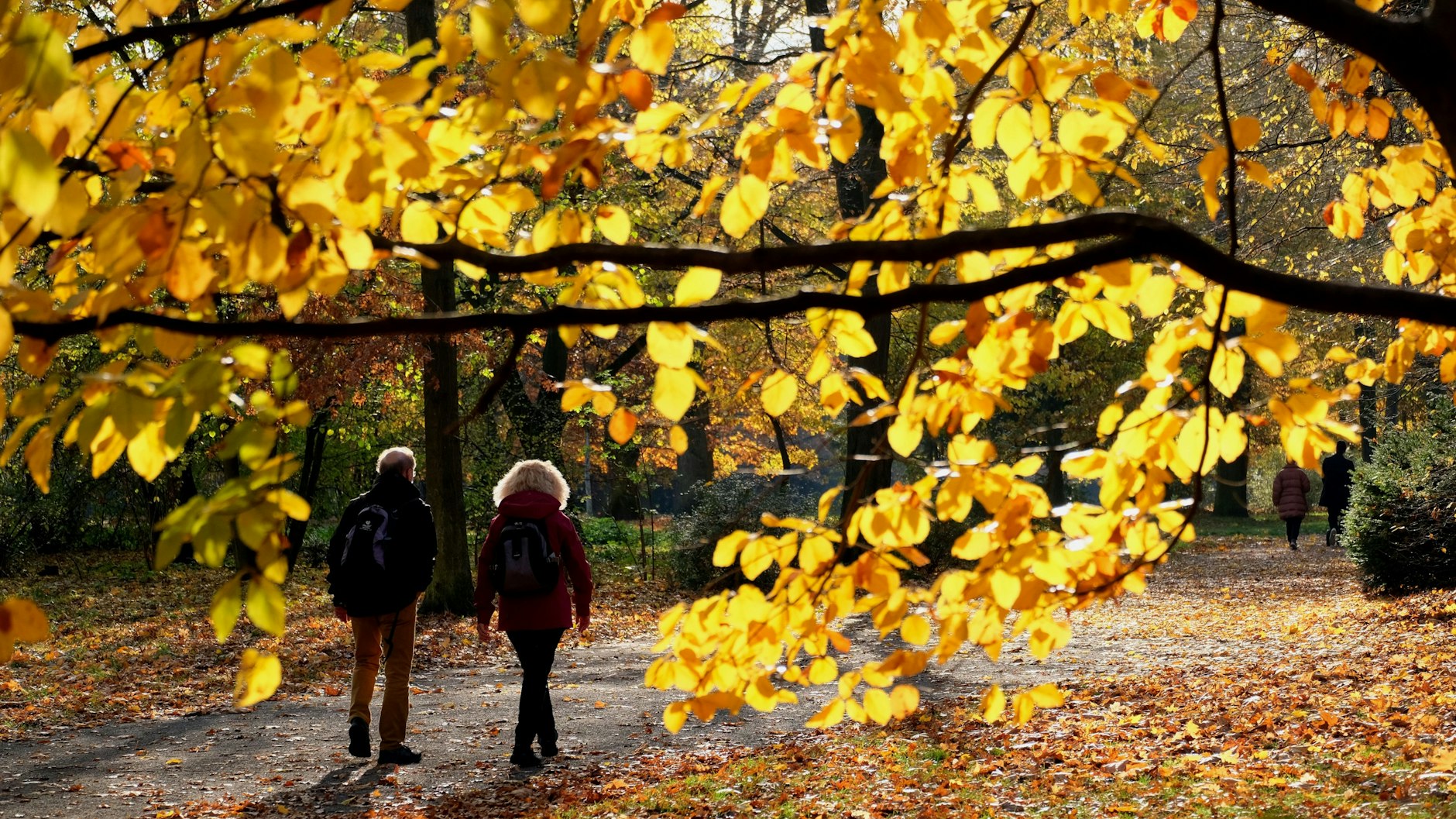 Spaziergehen gilt allgemein als gesund und kann auch bei psychischen Problemen unterstützen.