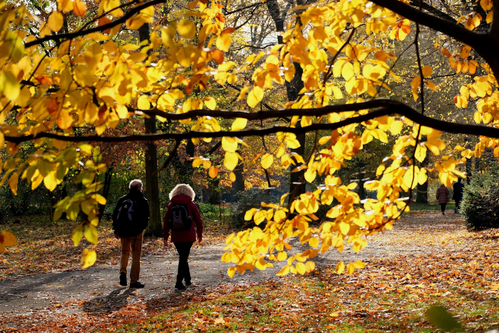 Walk and Talk: Funktioniert eine Psychotherapie an frischer Luft?