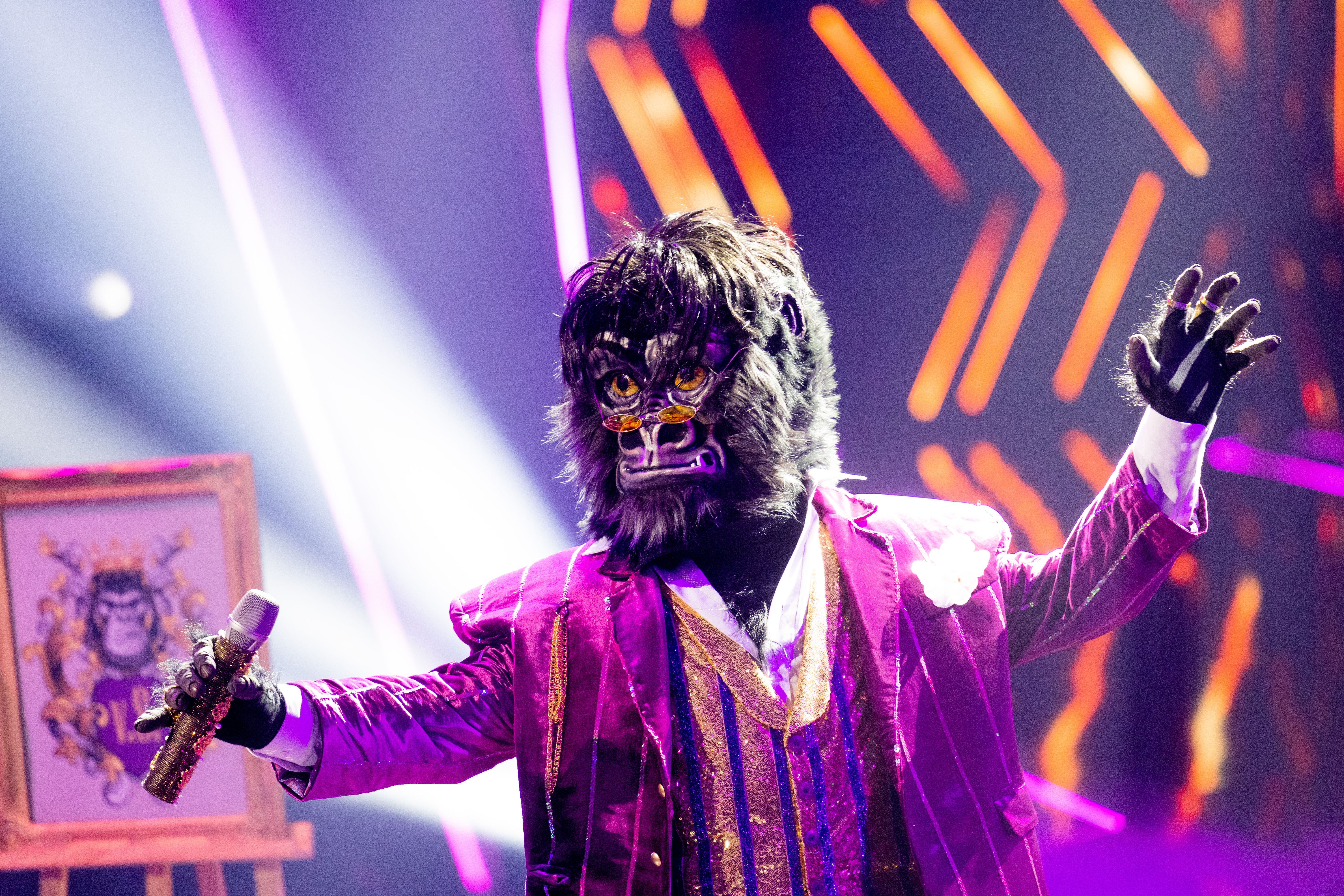 Image - Überraschung bei „The Masked Singer“! Fans enthüllen: DIESER Star aus „Let’s Dance“ ist der Gorilla – und DAS hat ihn verraten