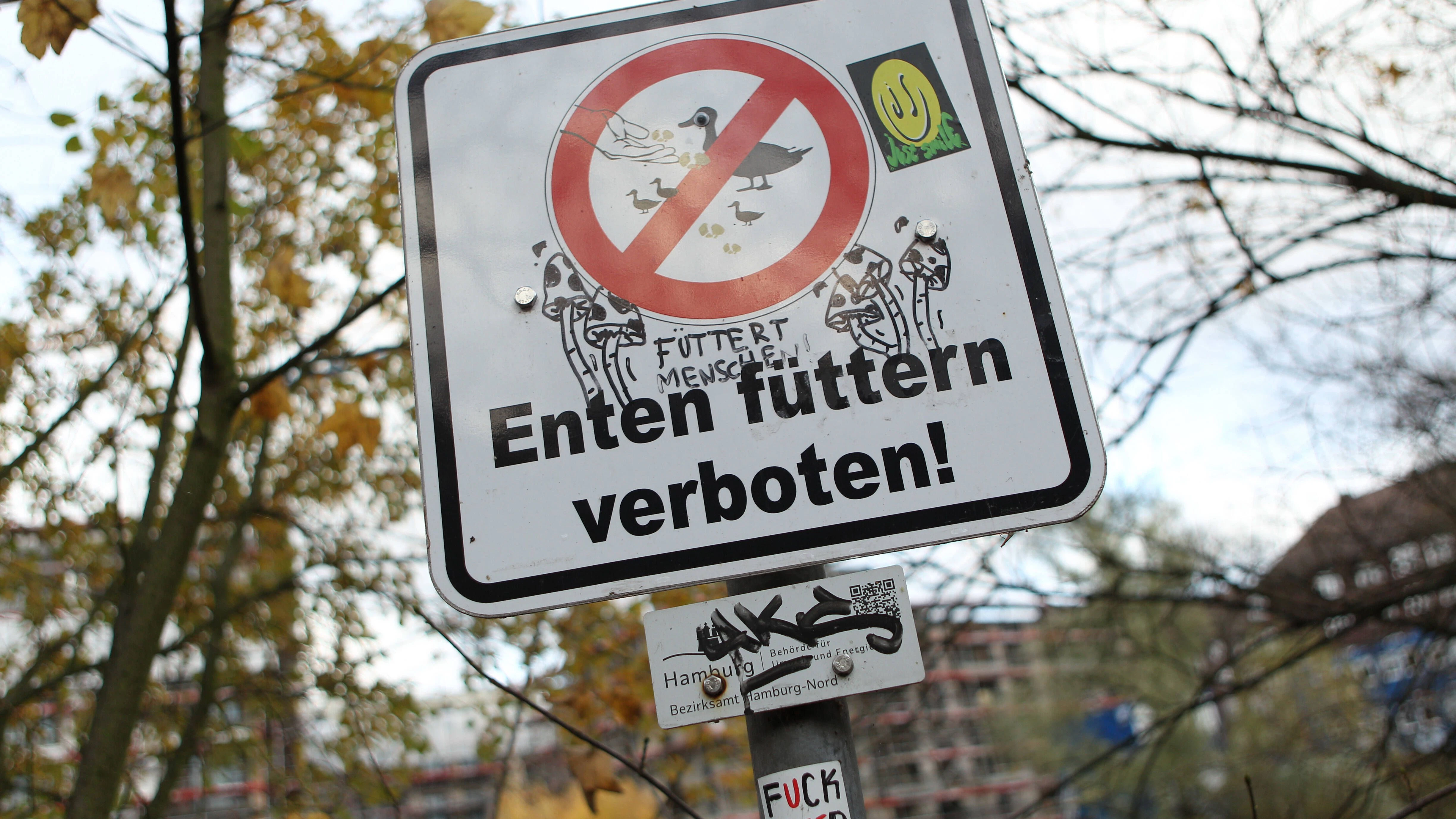 In vielen Regionen ist das Füttern von Enten in Park-Teichen verboten.