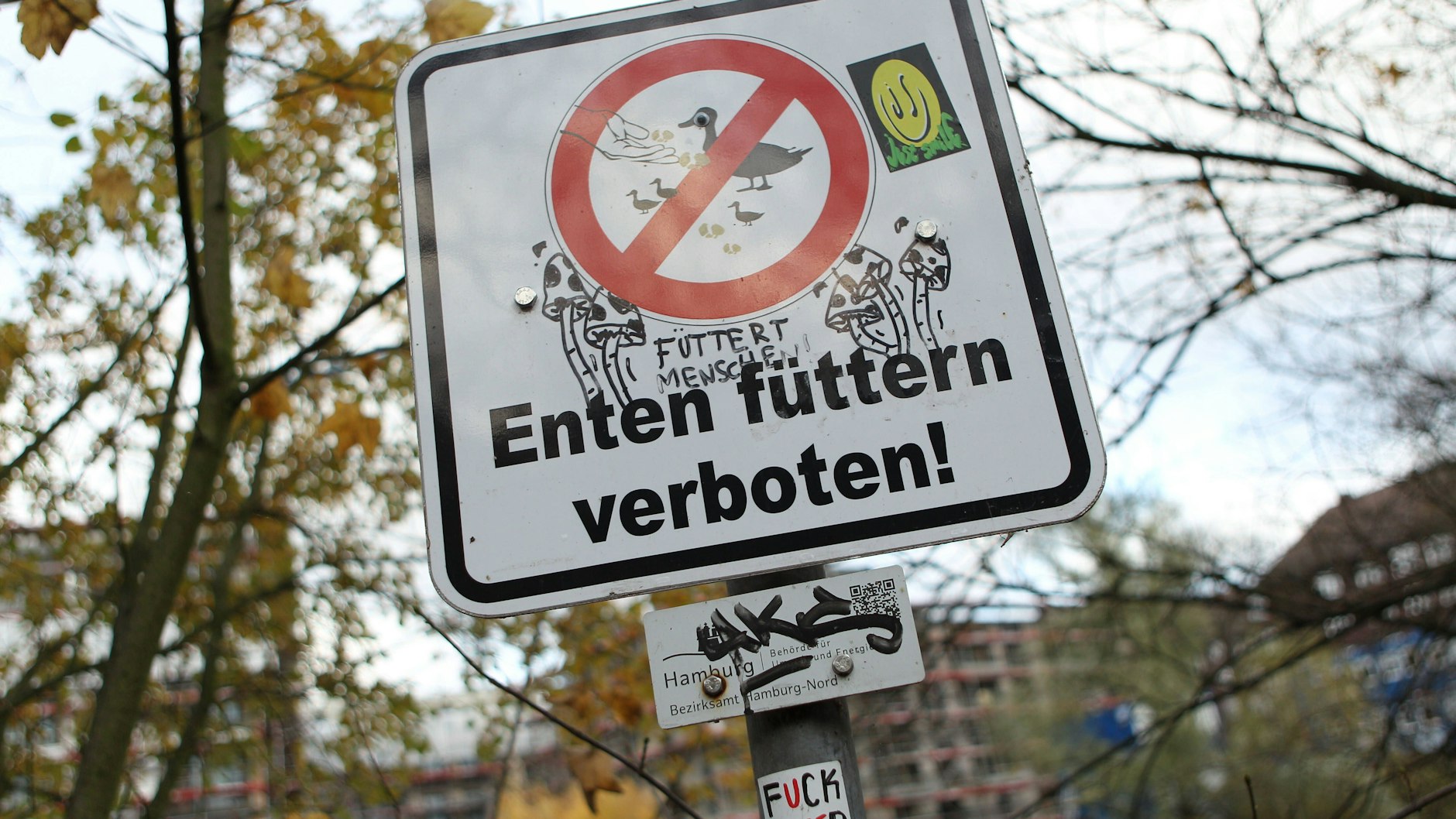 In vielen Regionen ist das Füttern von Enten in Park-Teichen verboten.