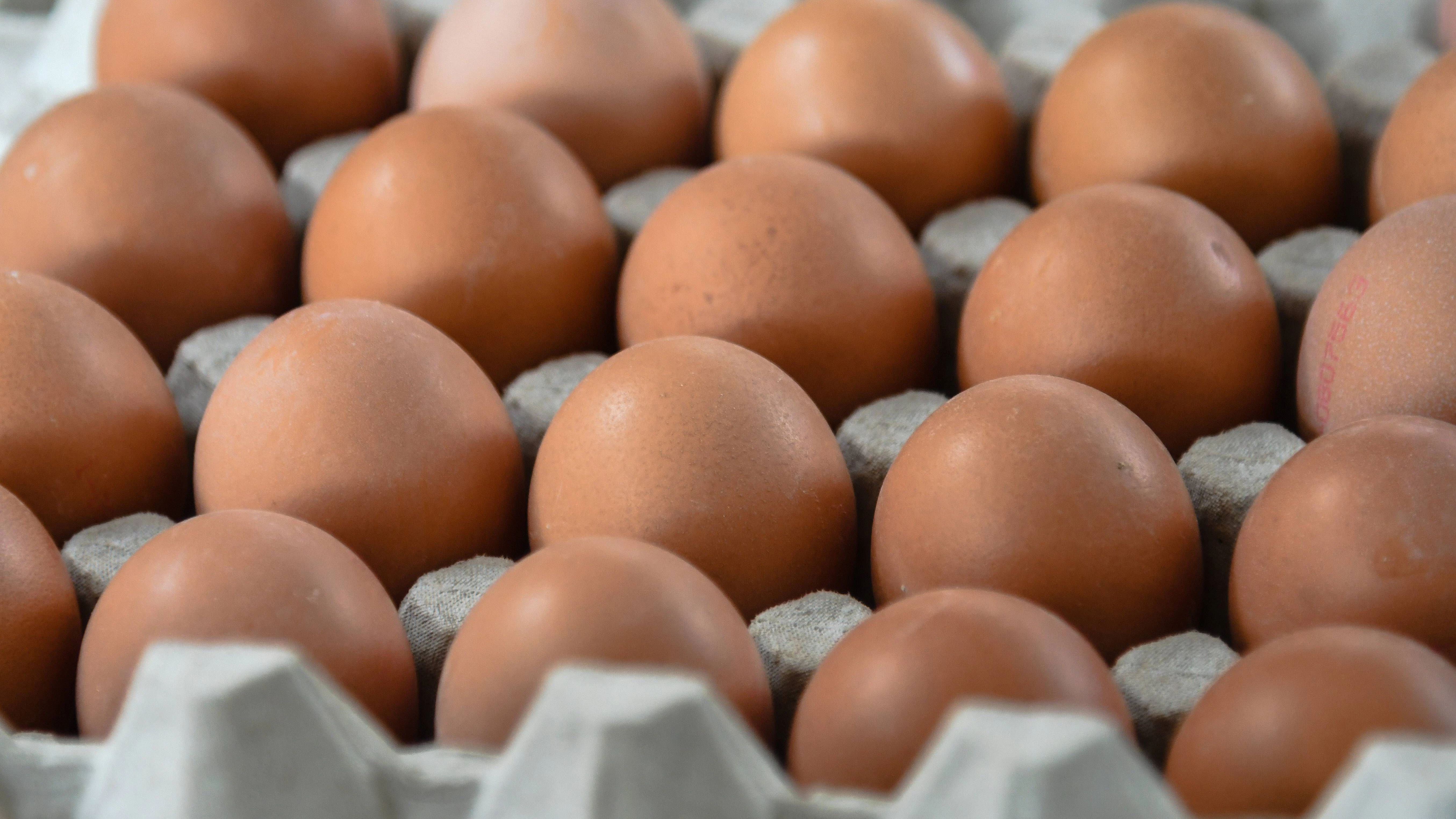 Wie lange muss man Eier kochen? Harte und weiche Eier - welche Kochzeit haben sie? Und wie prüft man bei Eiern die Haltbarkeit?
