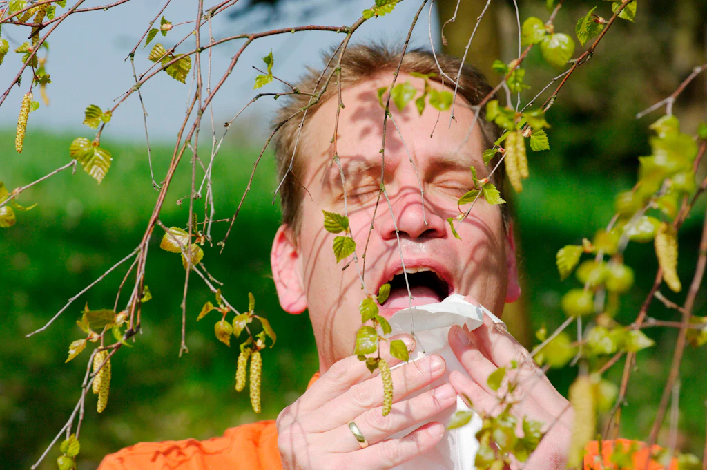 Pollen-Alarm! Wussten Sie, dass man jetzt in der Stadt anders lüften soll als auf dem Land? Die besten Tipps bei Heuschnupfen