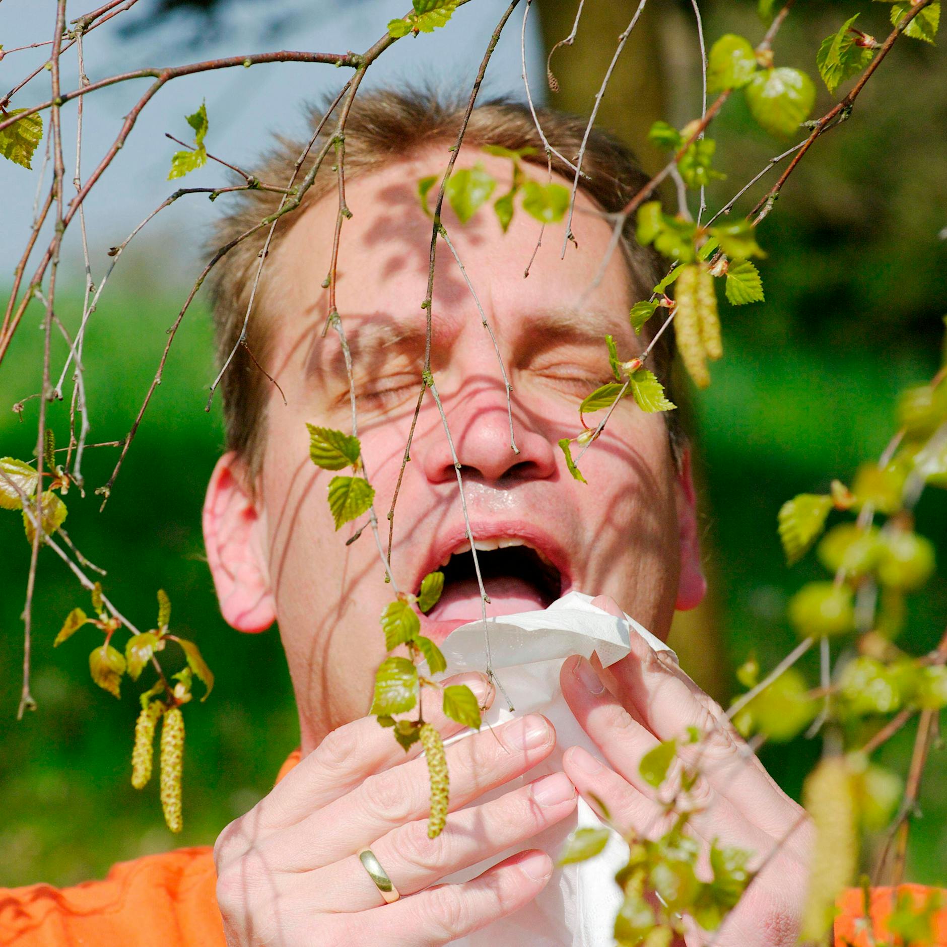 Pollen-Alarm! Wussten Sie, dass man jetzt in der Stadt anders lüften soll als auf dem Land? Die besten Tipps bei Heuschnupfen