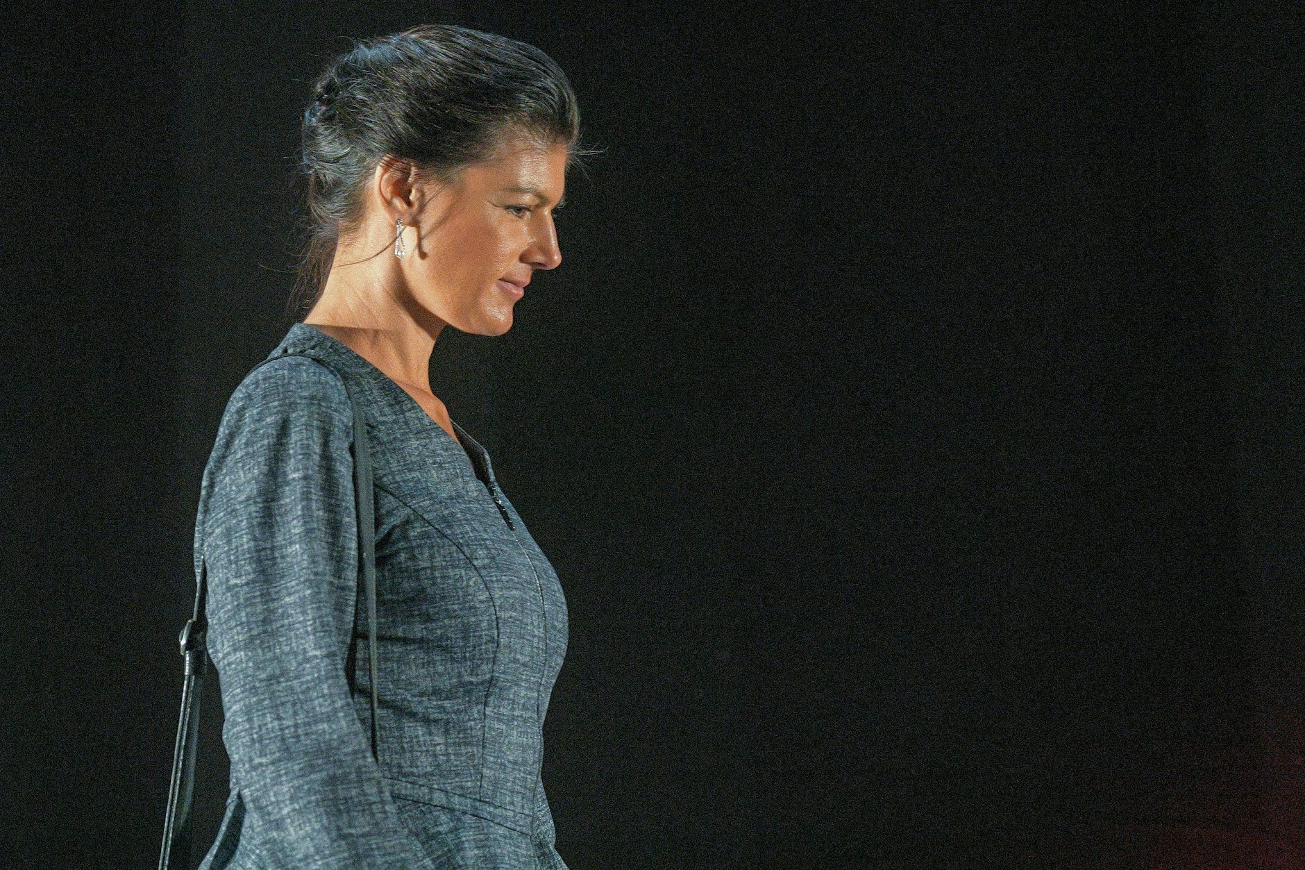 Sahra Wagenknecht hat erneut die Grünen ins Visier genommen.