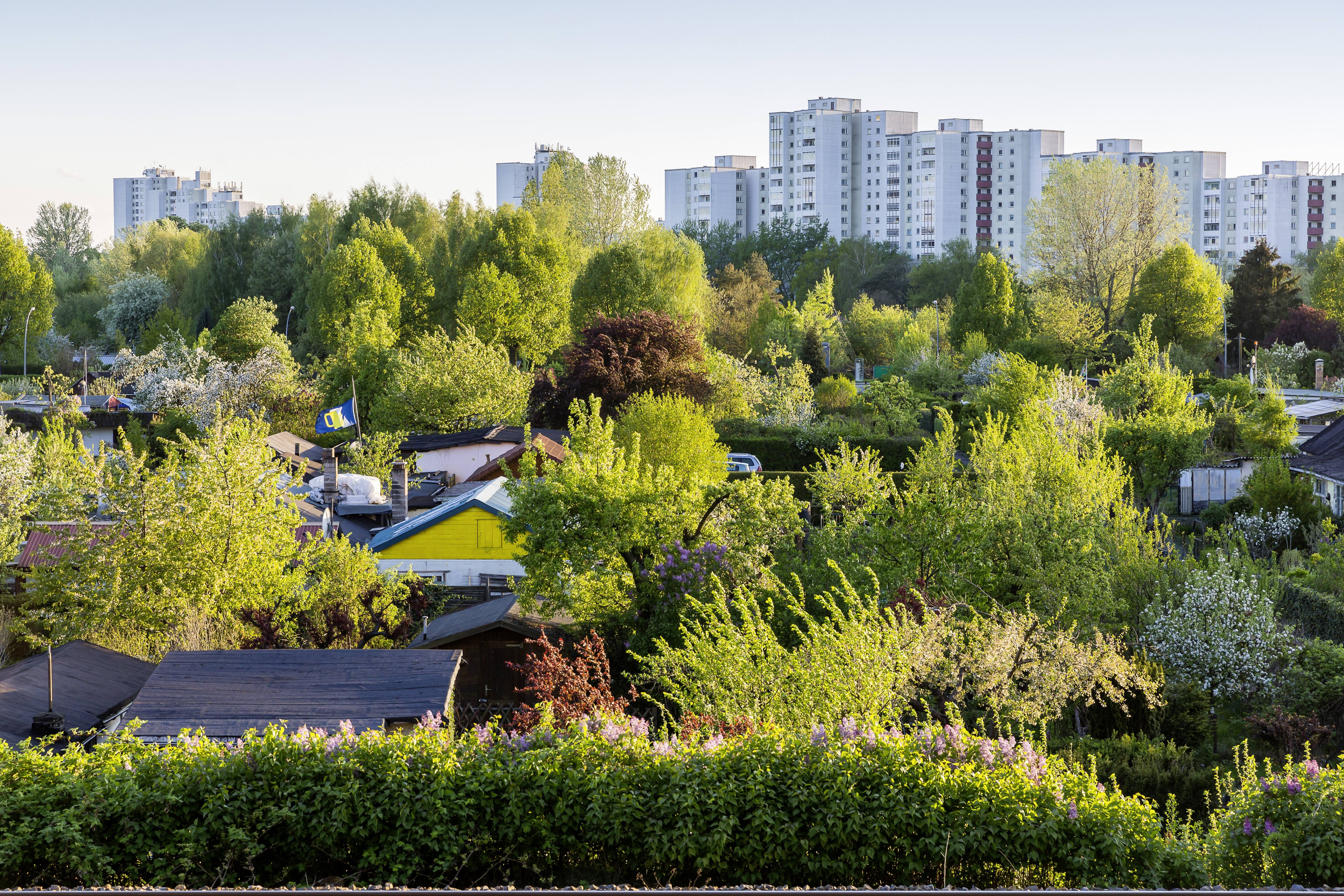 Neuer Wohnraum in Plänterwald geplant: So können sich Anwohner einbringen