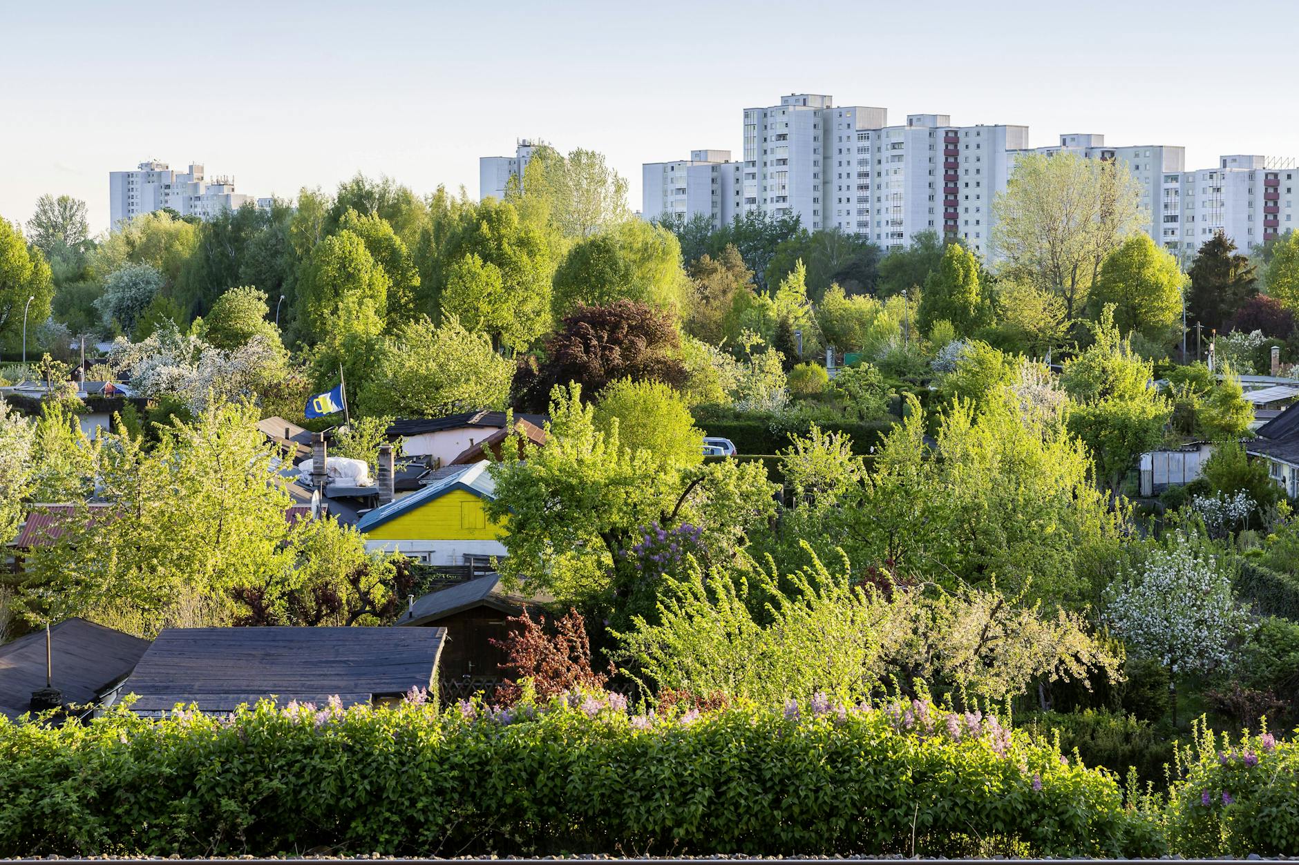 Im Plänterwald soll neuer Wohnraum entstehen. Ab Freitag können sich die Anwohner mit den Plänen vertraut machen.