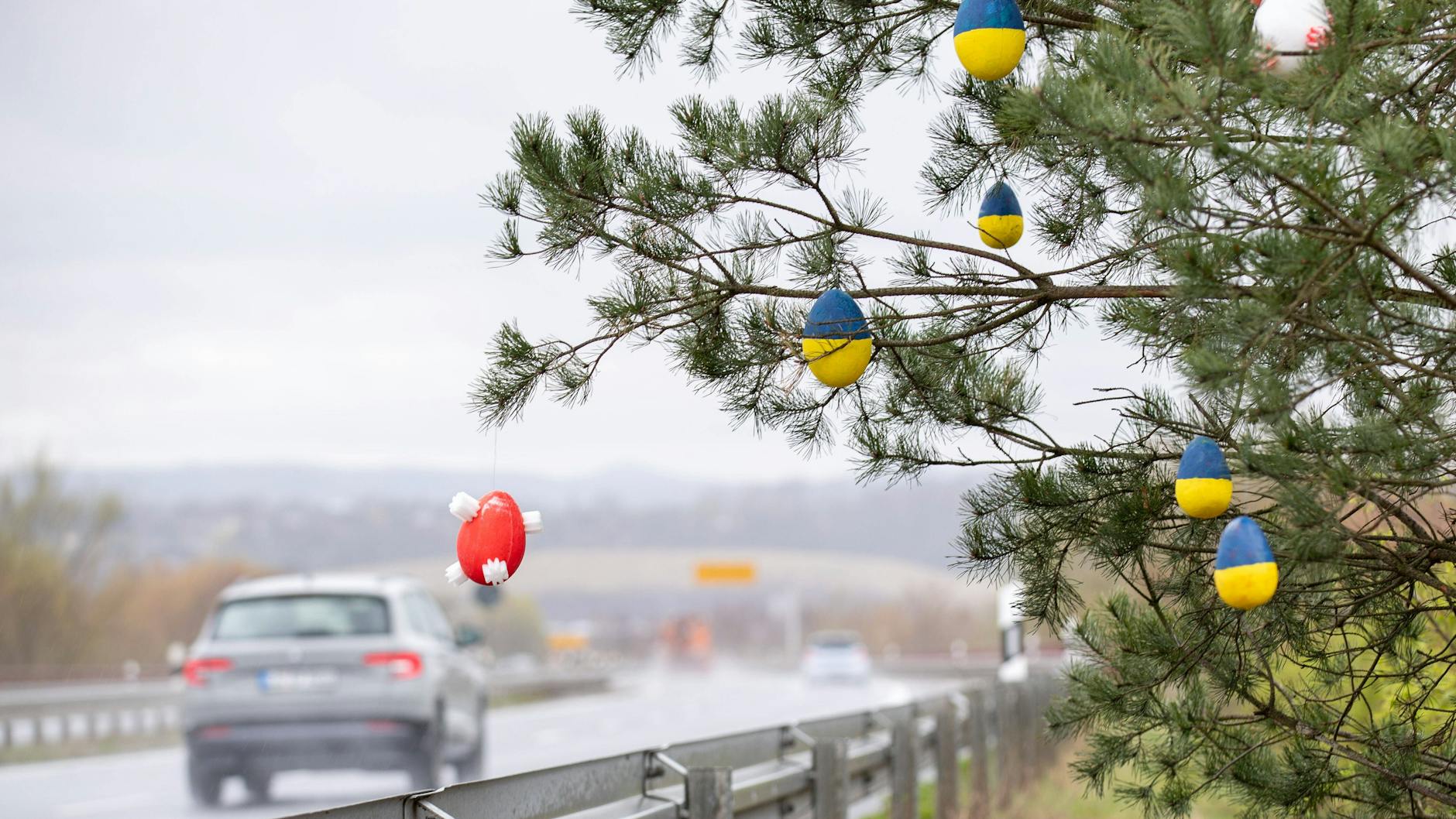 Ostereier in den Farben der ukrainischen Flagge hängen an einem Baum an einer Autobahn in Sachsen.