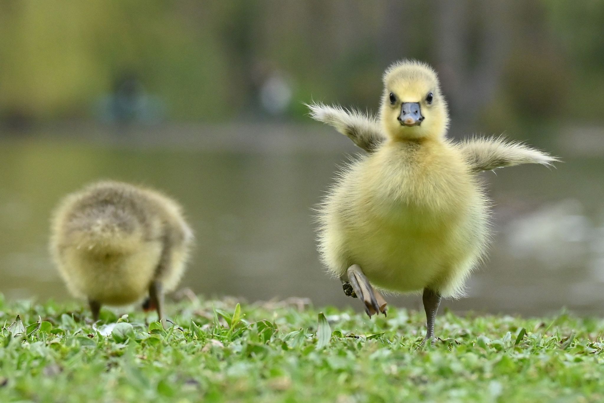 Wetter spielt verrückt: 25 Grad am Mittwoch! Hoch „Reiner“ bringt Wärme und jede Menge Saharastaub