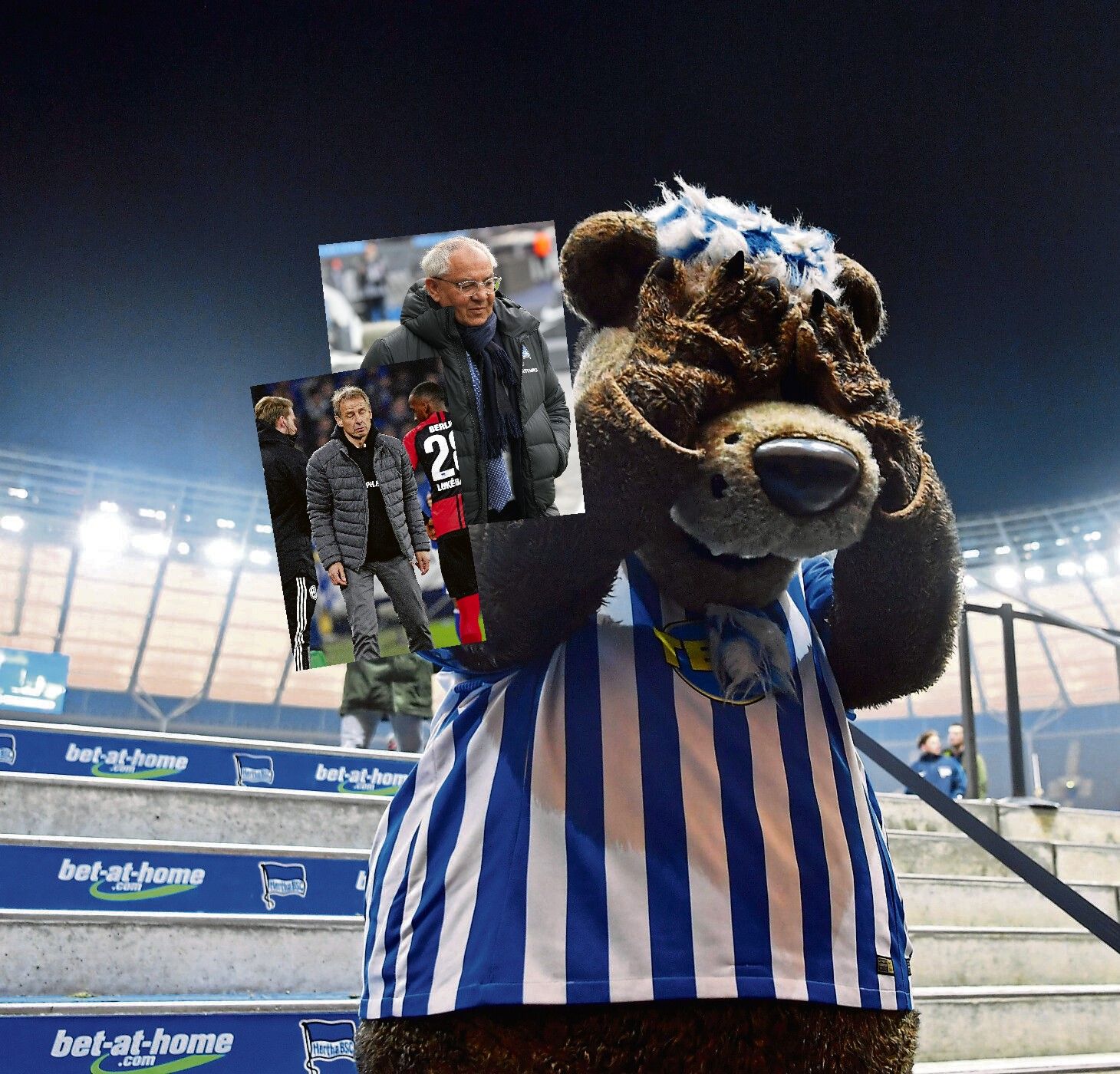 Image - Von Klinsmann bis Magath: Auweia, Hertha BSC ist der Schlechtermacher!