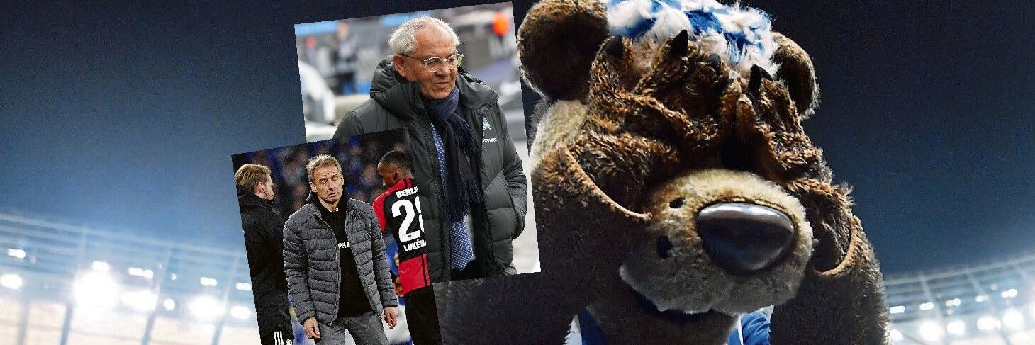 Hertha-Maskottchen Herthinho erlebt die Krisenjahre hautnah, sah Jürgen Klinsmann kommen und fliehen – und hofft nun auf Felix Magath.
