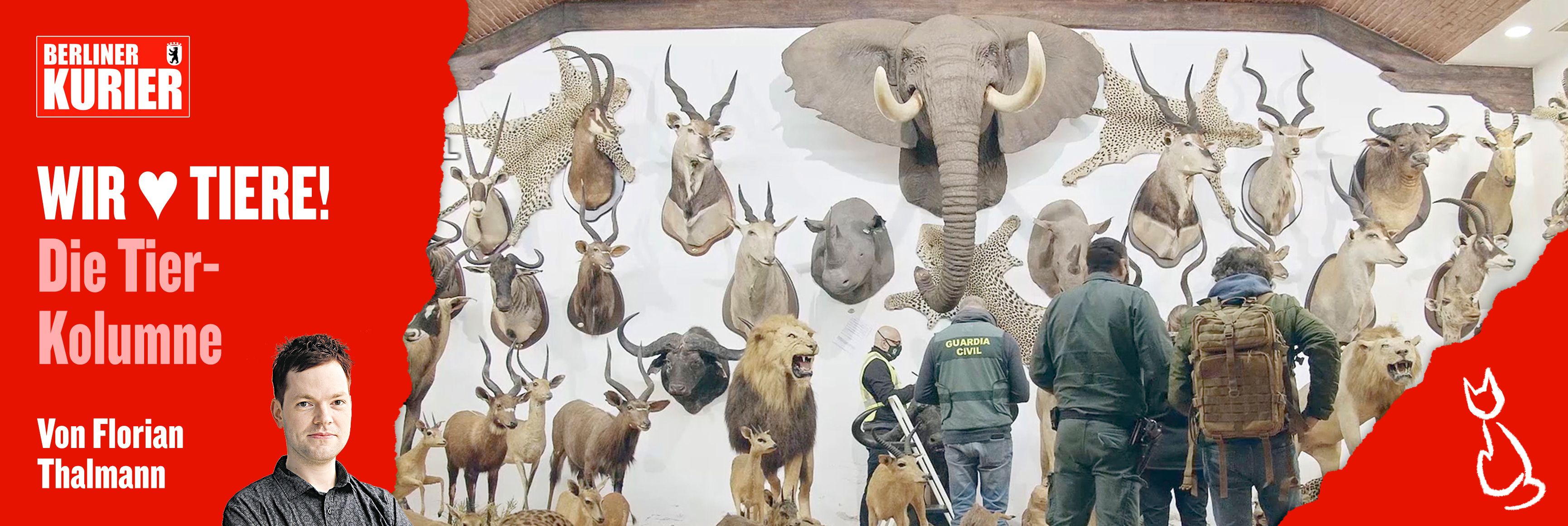 Image - Perverse Sammlung: Irrer Spanier hortet mehr als 1000 ausgestopfte Tiere! Die Bilder sind so gruselig – und machen sprachlos