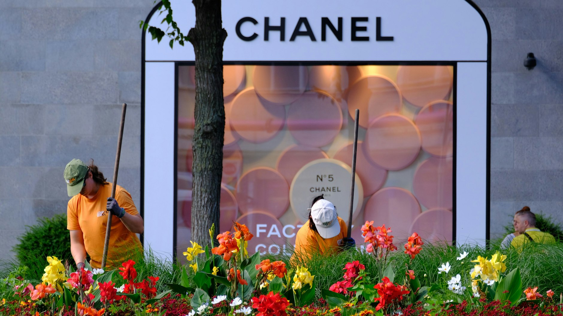 Nr. 5 lebt! Der Berliner Kurfürstendamm ist eine Mischung aus hochpreisigem und global austauschbarem Einerlei, Anwaltskanzleien und Zahnarztpraxen.