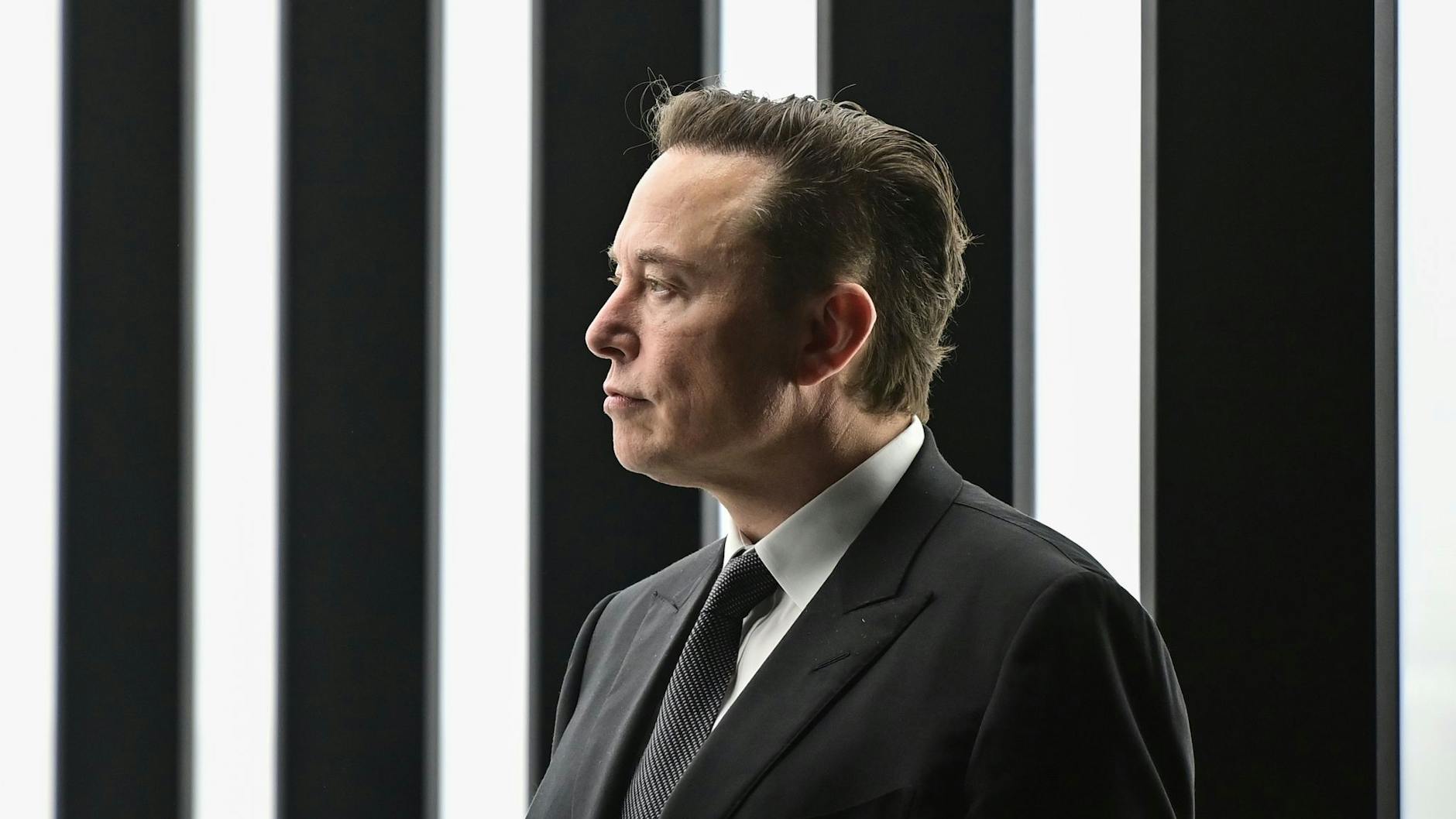 Elon Musk will Twitter aufkaufen.