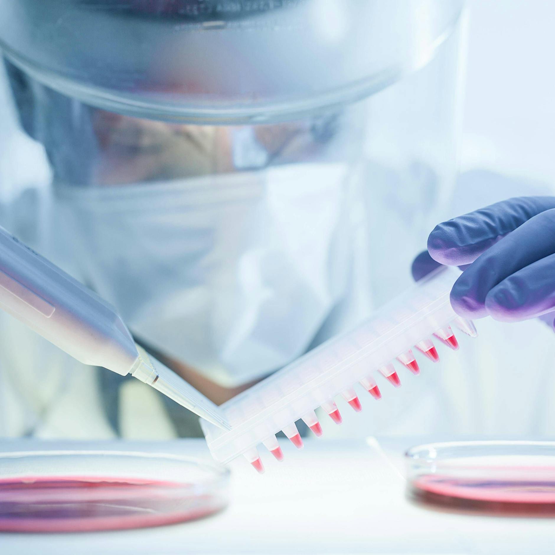 Mysteriöse Hepatitis: Corona-Zusammenhang möglich