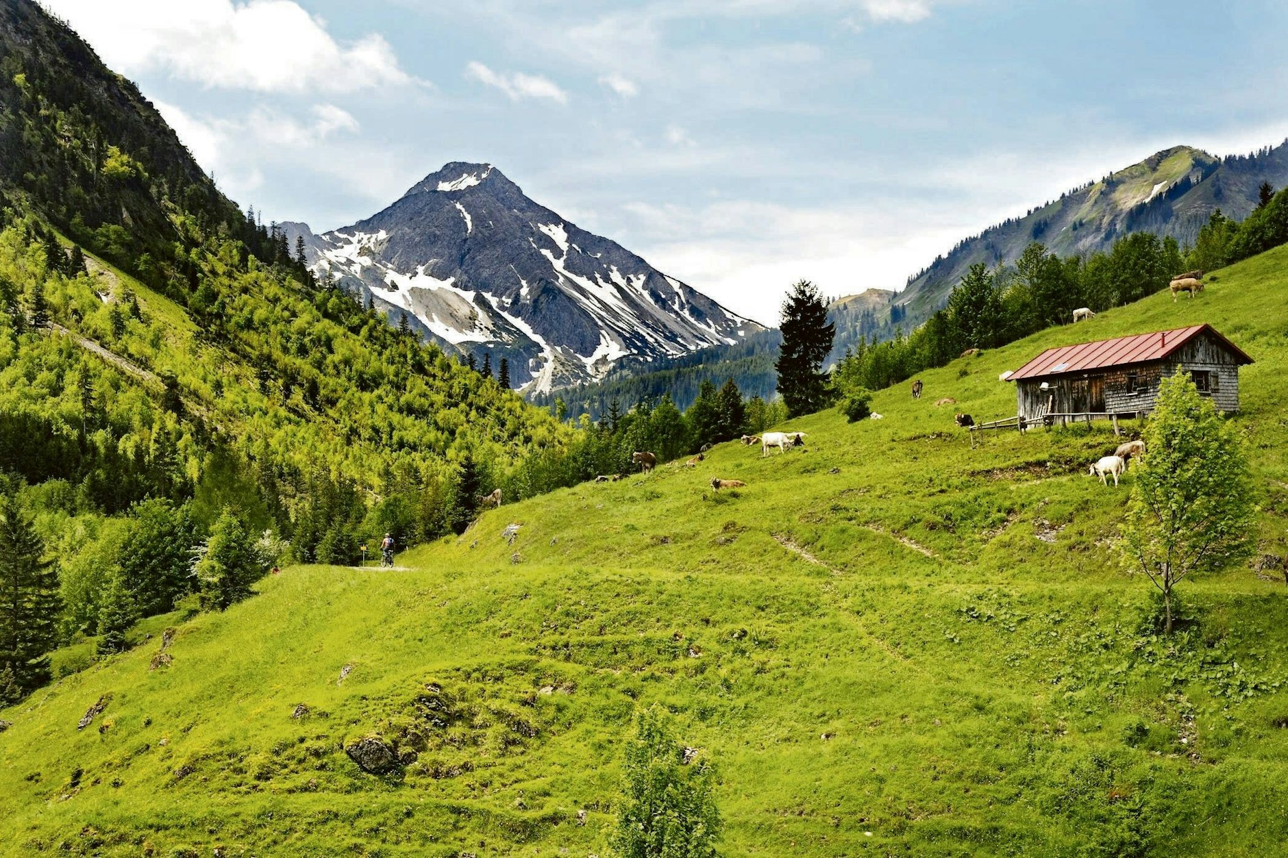 Eine Alm in einer Berglandschaft bei Hinterstein im Allgäu ( Symbolbild).