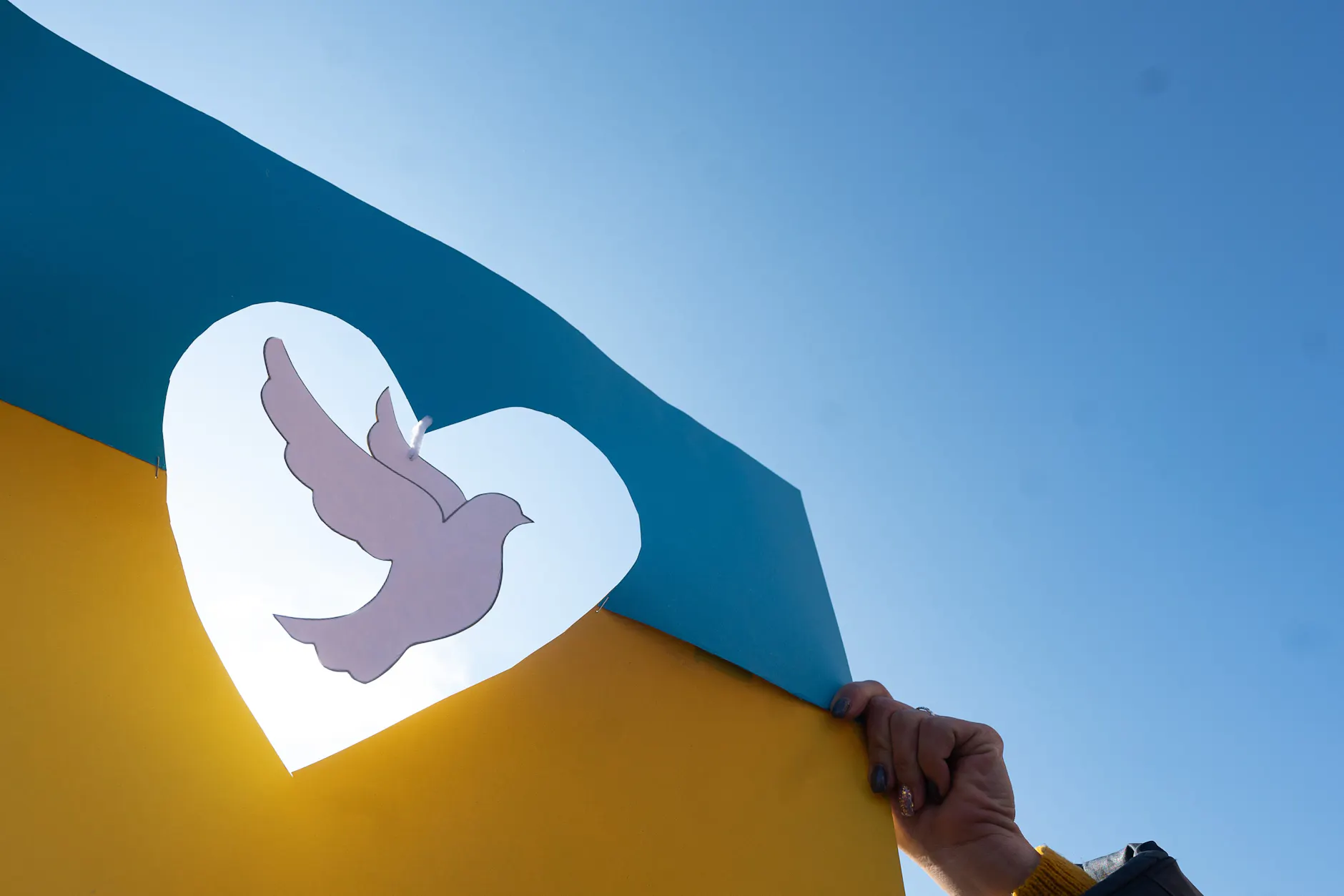 Friedenstaube auf einer Ukraineflagge aus Papier während einer Demonstration gegen den russischen Angriff.