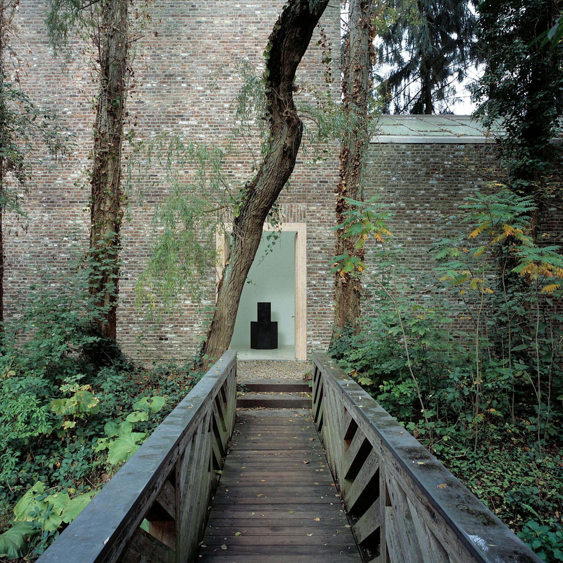 Bloß nicht verzagen - was Sie aus Misserfolgen im Garten lernen können