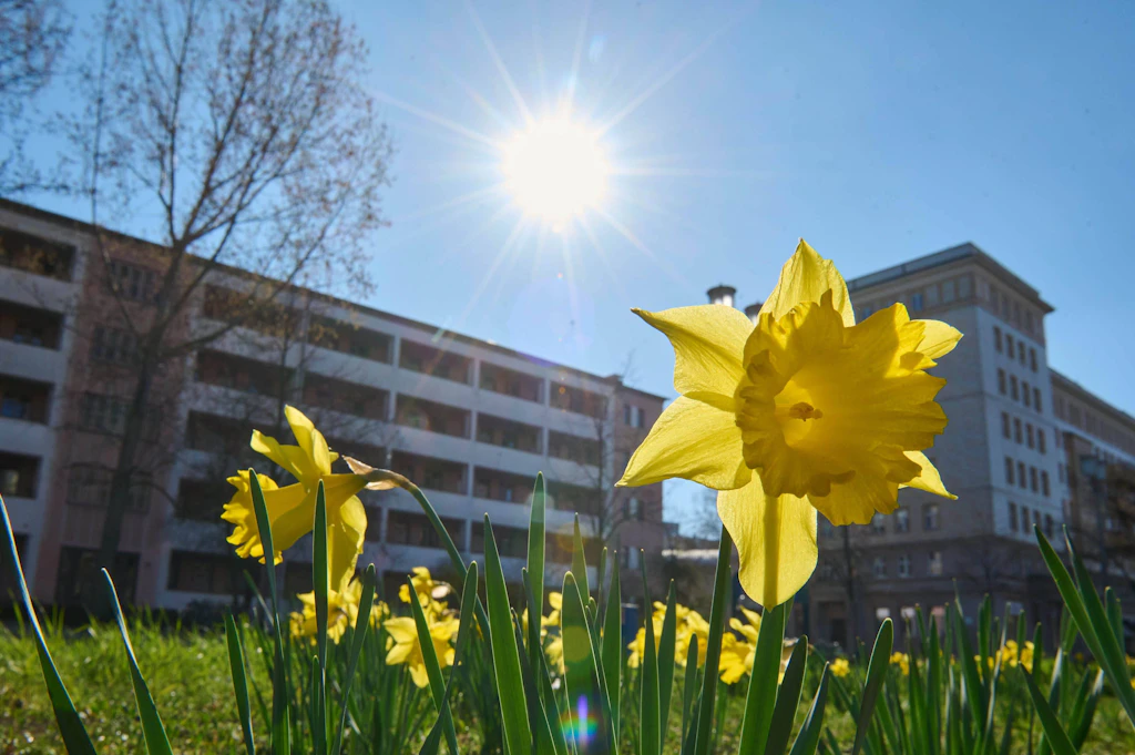 Wetter in den kommenden Tagen: Experten schlagen Alarm – Frühjahrsdürre! So warm wird es ...