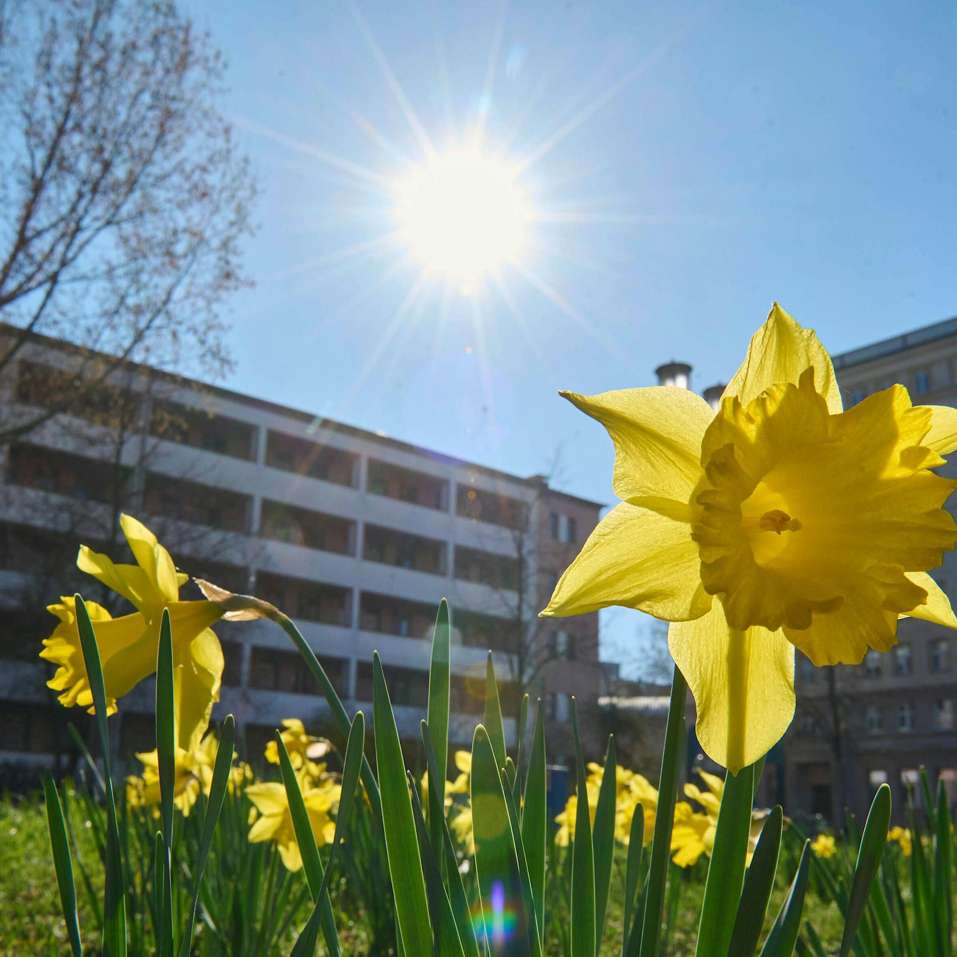 Wetter in den kommenden Tagen: Experten schlagen Alarm – Frühjahrsdürre! So warm wird es ...