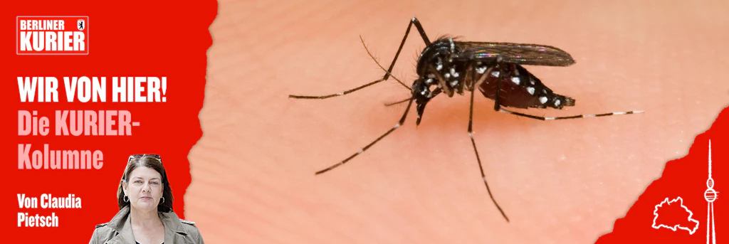 Asiatische Tigermücken, gemeine Zecken und gefräßige Buchsbaumzünsler: Lauern in unseren Gärten immer mehr Gefahren?