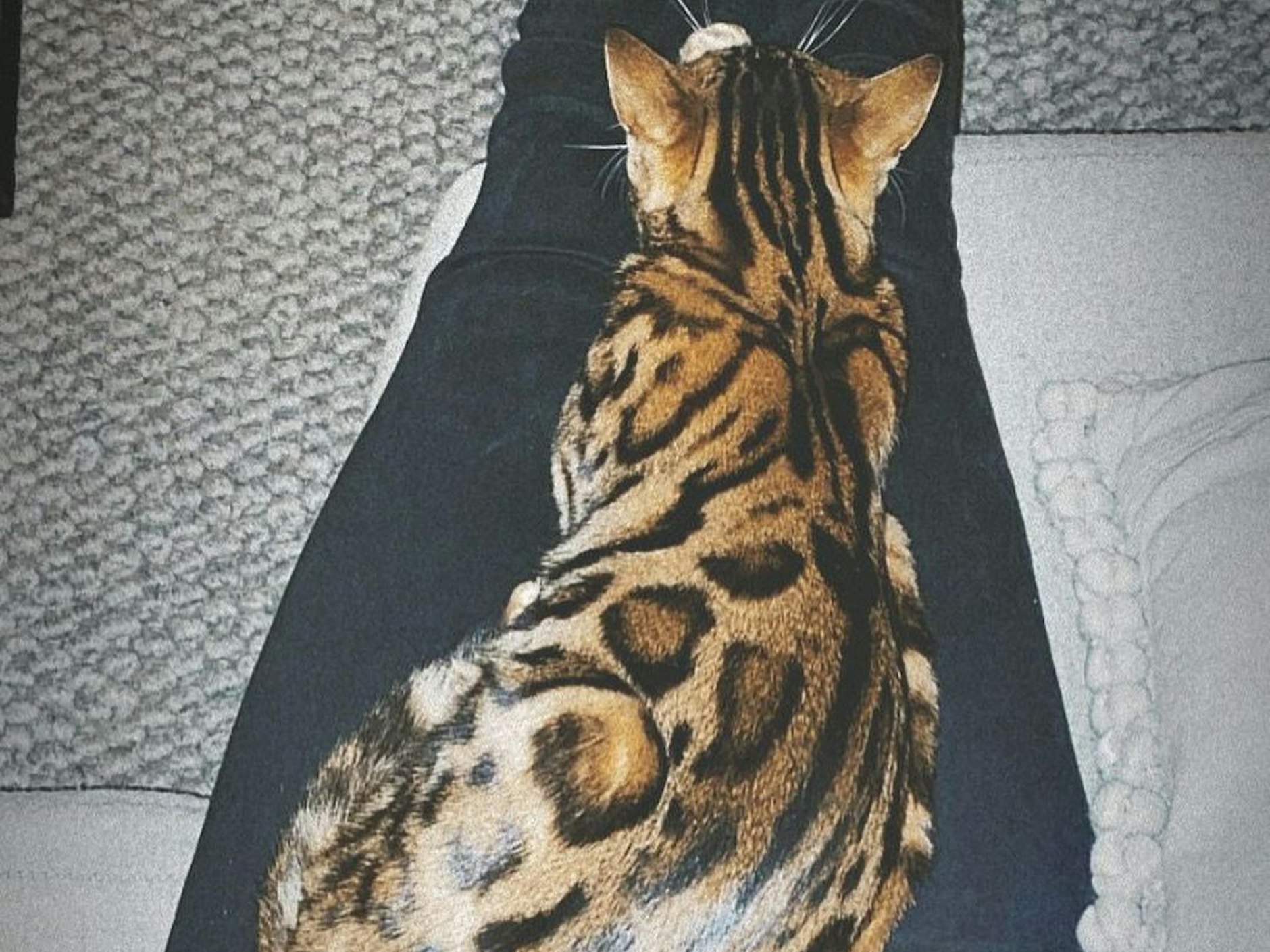 Juri macht es sich auf dem Schoß von Judith bequem