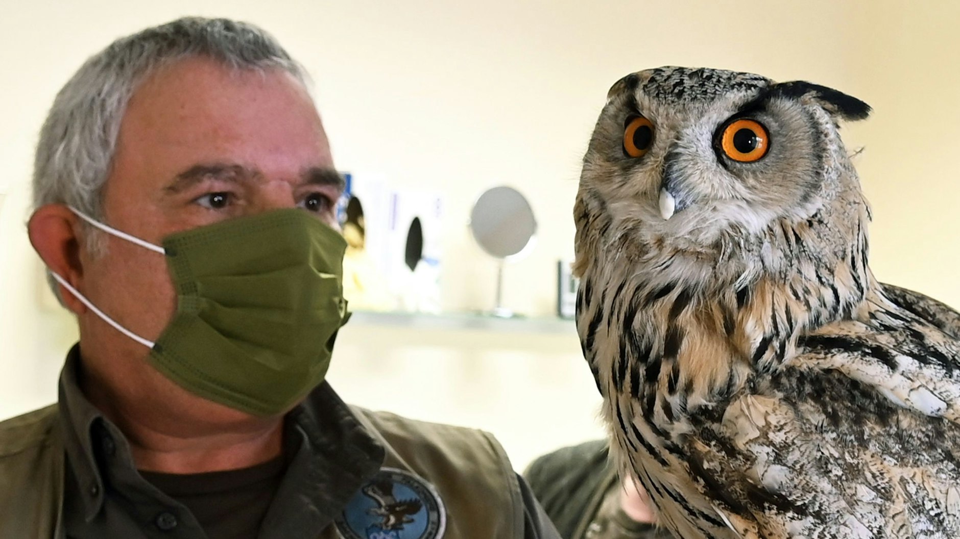 Uhu Juri nach der Behandlung beim Zahnarzt mit Falkner Ralf Lukavecz.