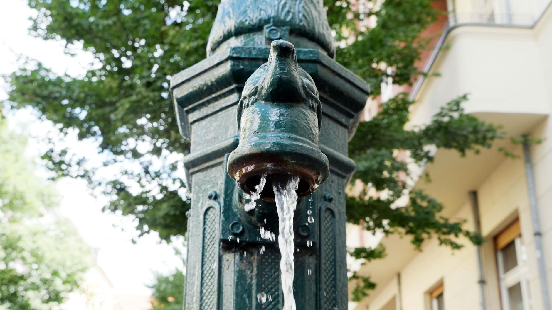 Grundwasser: Auch wichtig für trockene Bäume.