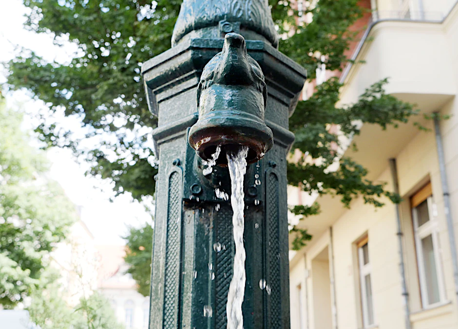 Grundwasser: Auch wichtig für trockene Bäume.