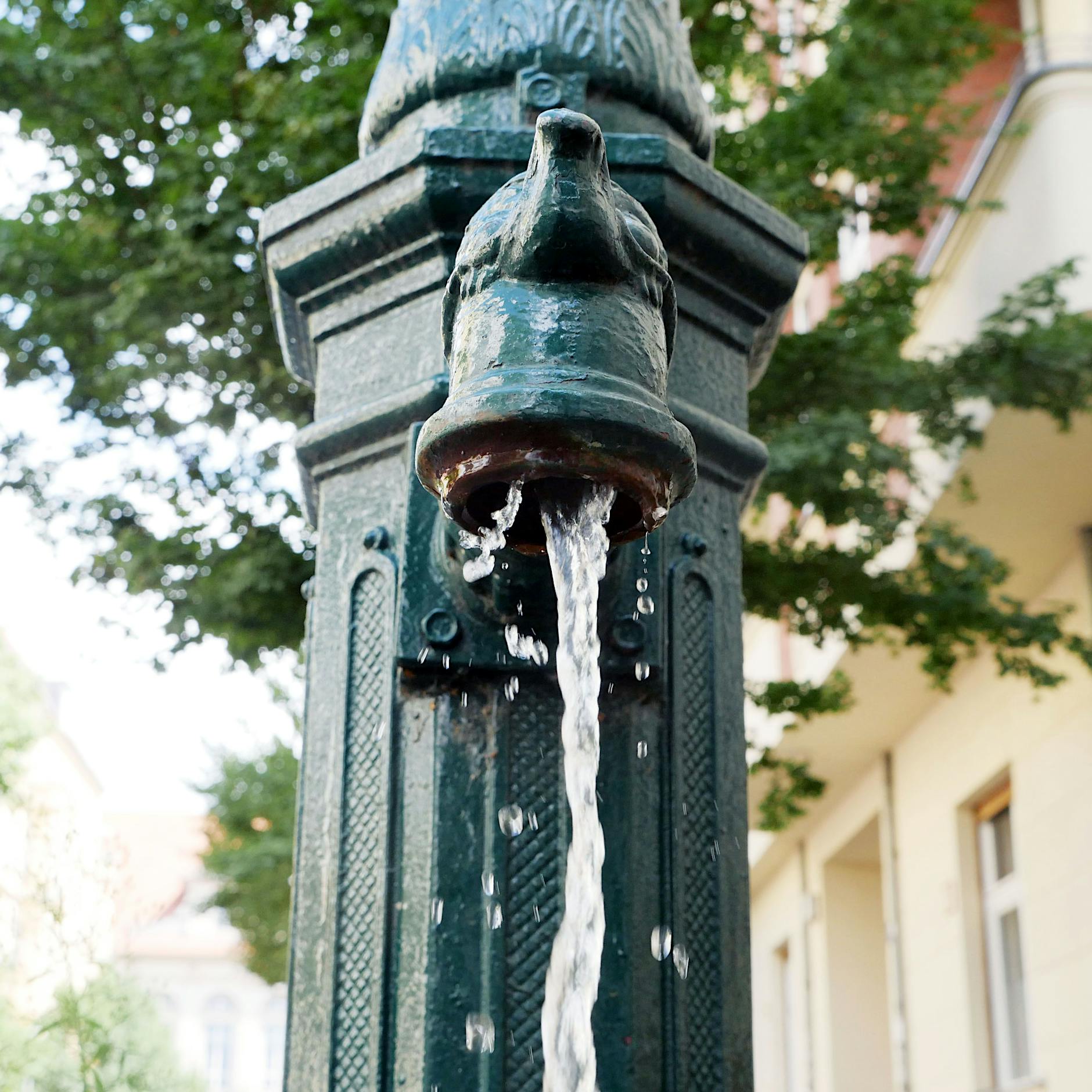 Folge der Dürre: Berliner Grundwasserspiegel liegt um 20 Prozent unter Normal