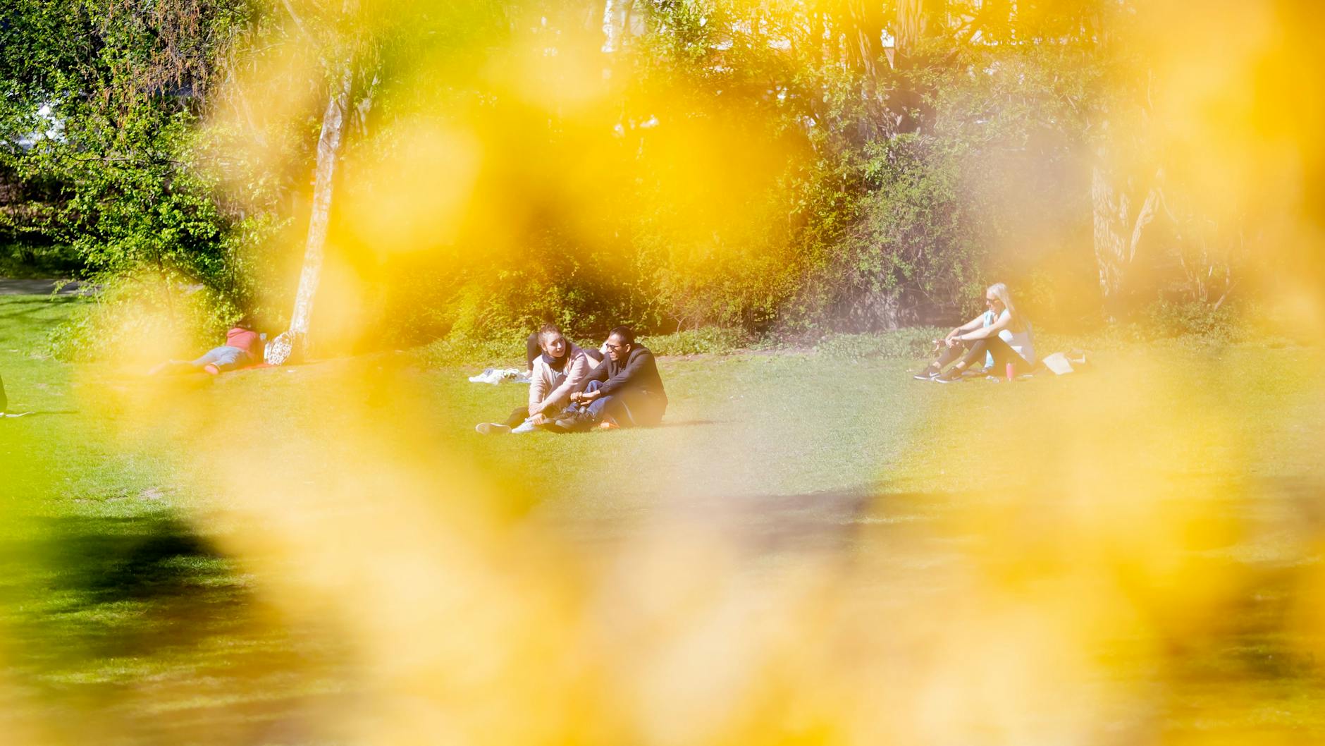 Das Wetter dreht schon im Mai richtig auf. Menschen genießen im Volkspark Wilmersdorf hinter einem blühenden Strauch die Sonne.