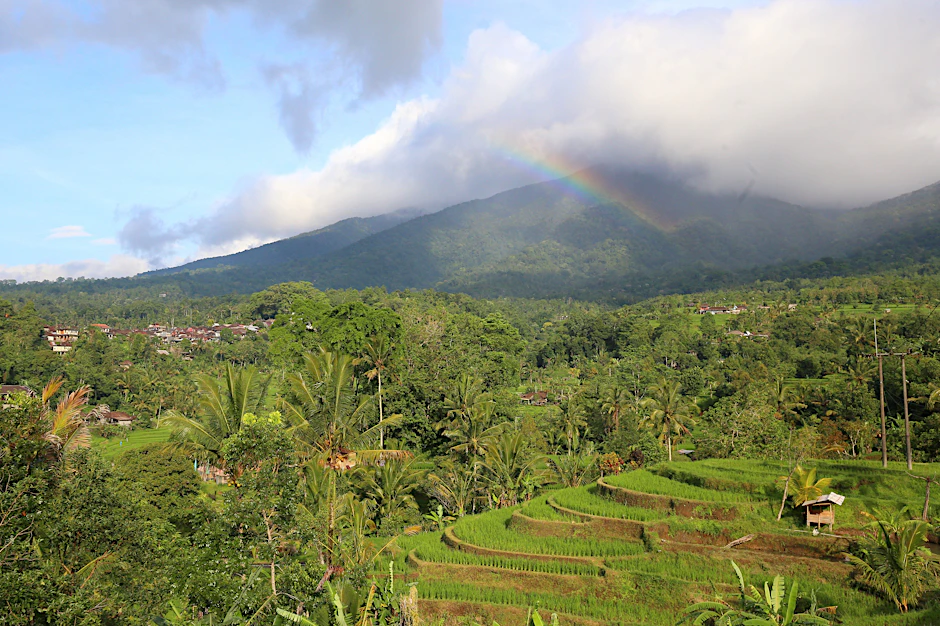 Berg, Felder, Regenbogen. Alida Szabo ist eine ungarische Fotografin aus Berlin und postet gerade viel aus Bali. Dort wohnt sie gerade mit Mann und Kind.