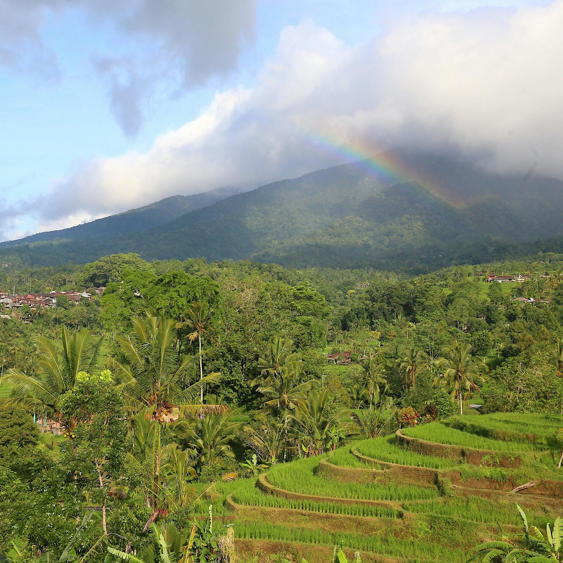 Achtung! Etwas mehr Zurückhaltung mit den schönen Bildern aus Bali bitte