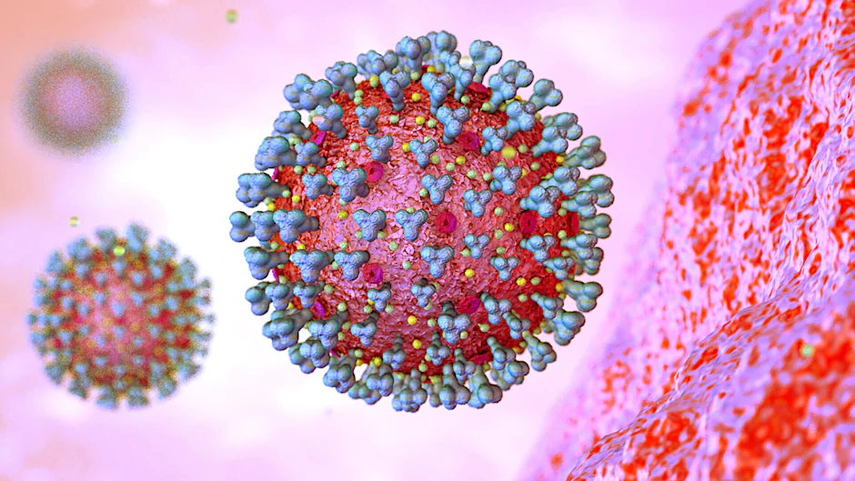 Mikroskopische Ansicht des Coronavirus.