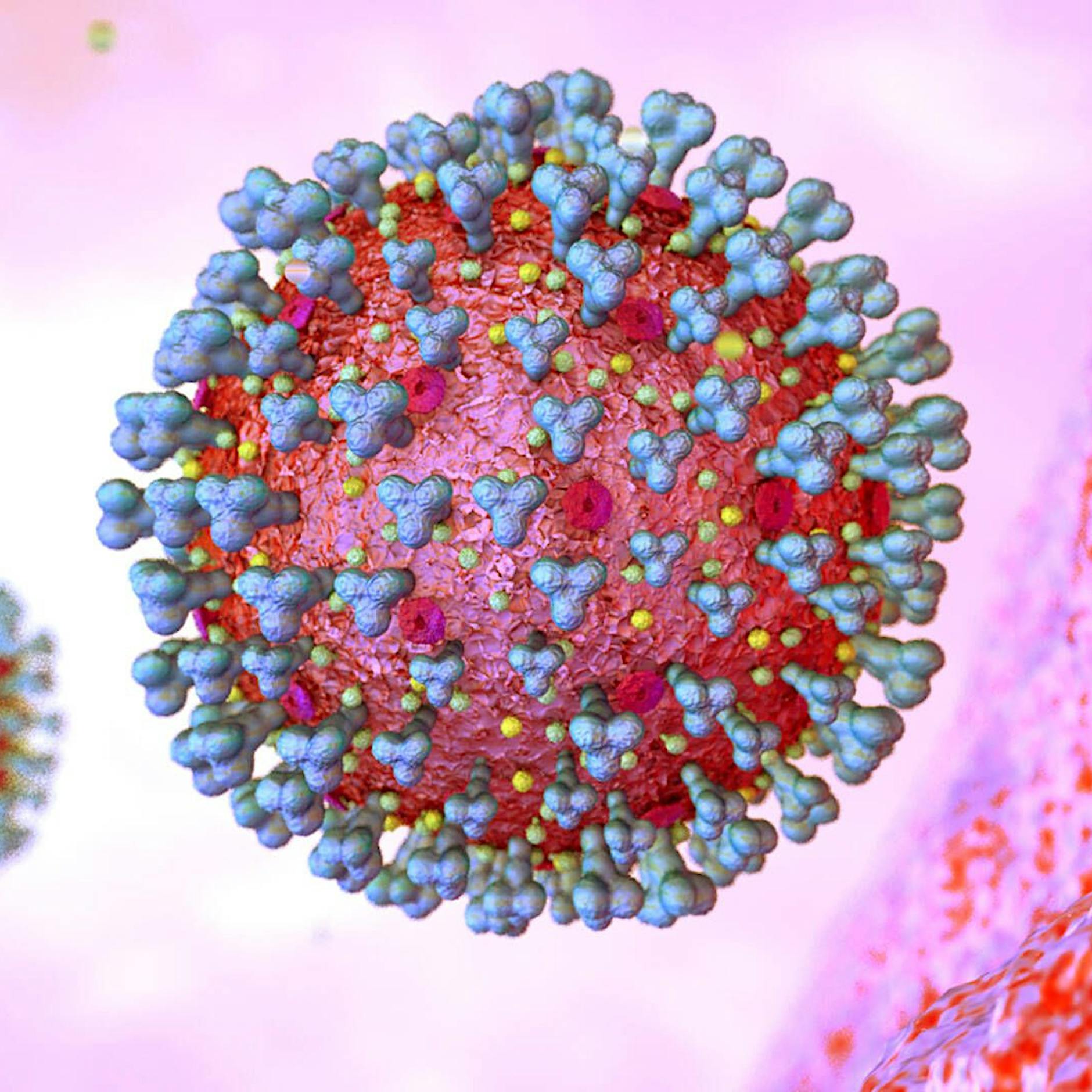 Boostern ohne Ende? Experten beurteilen vierte Corona-Impfung kritisch