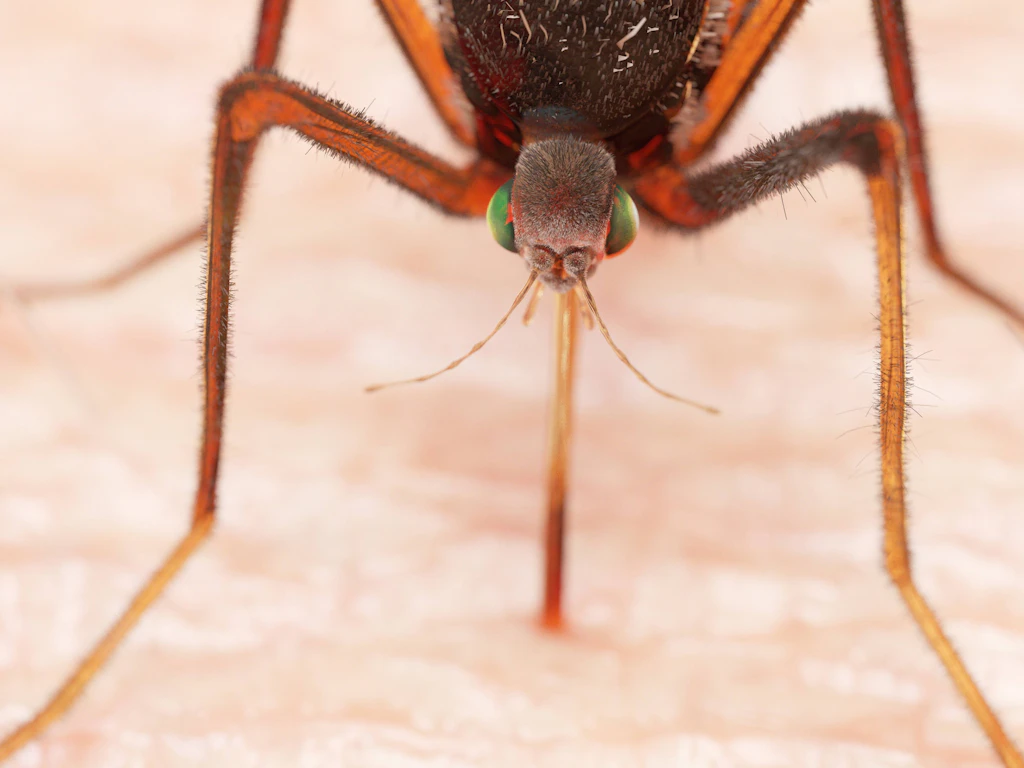 Geoengineering: Forscher befürchten massiven Anstieg von Malaria