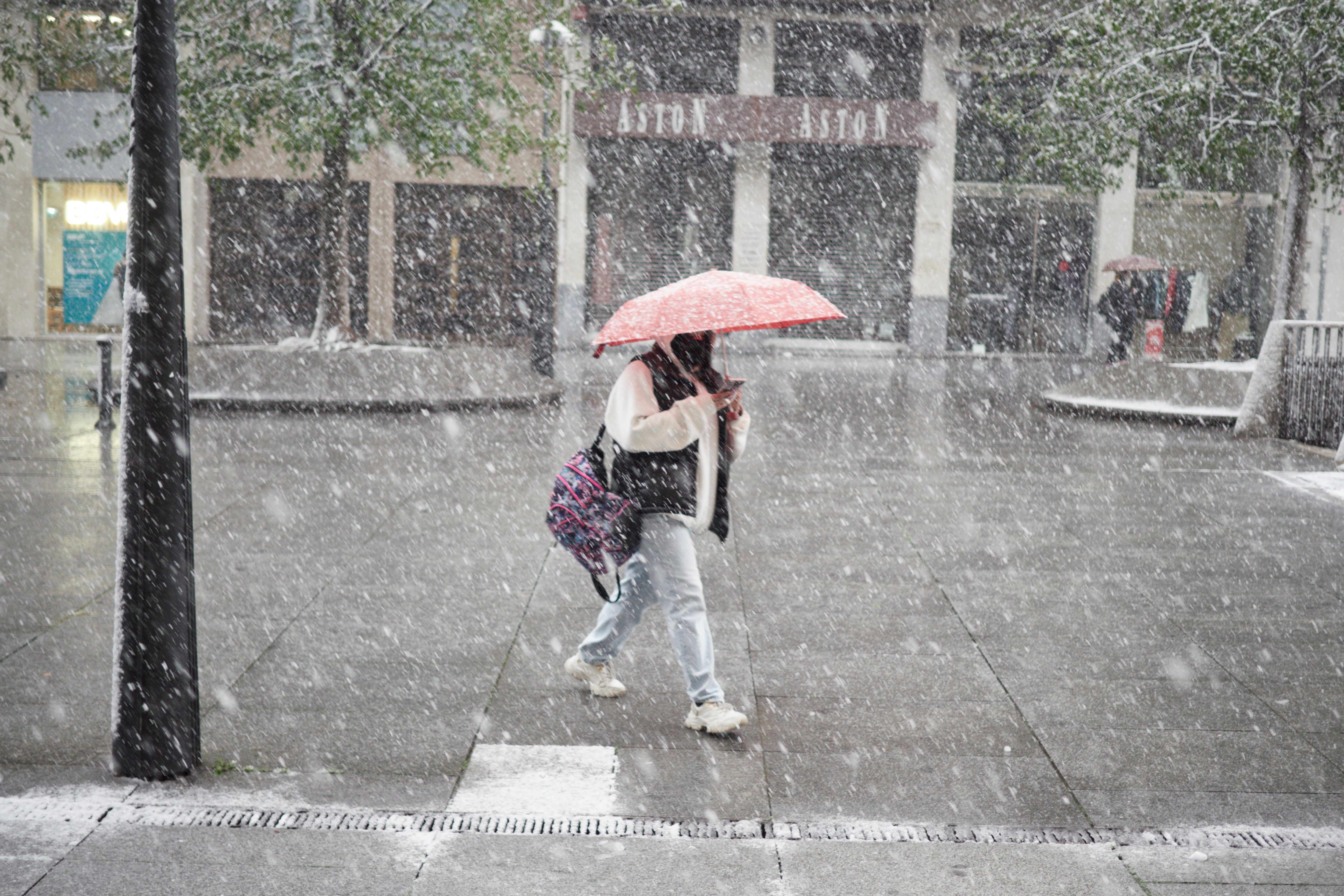 Image - Wetter extrem: Was ist DAS denn? Brutaler Wintereinbruch mit 36 Zentimetern Schnee! Was DIESER Meteorologe berichtet, ist wirklich kaum zu glauben