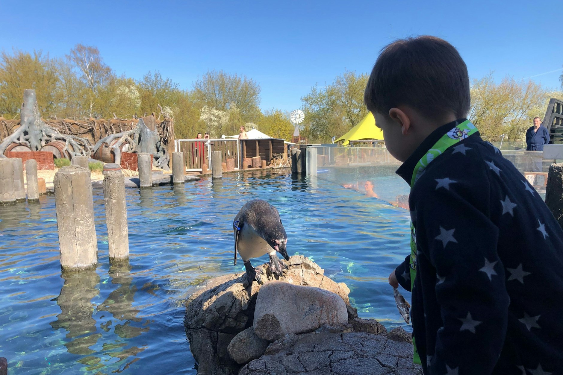 Sollte man unbedingt mitbuchen: die tägliche Pinguinfütterung.
