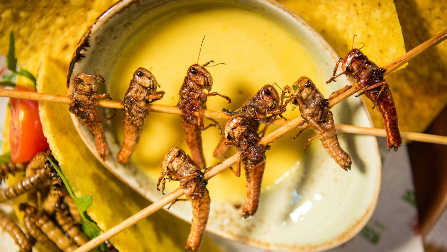 Gericht mit einer guten Umweltbilanz: gebratene Heuschrecken