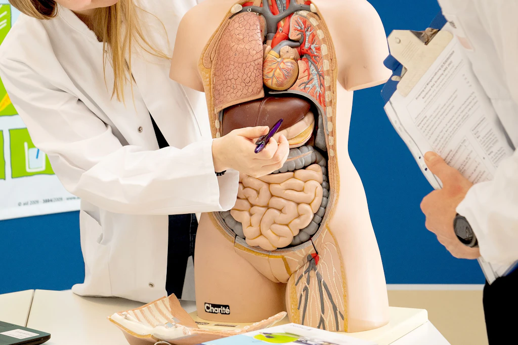 Mysteriöse Hepatitis: Erstes Kind in Deutschland betroffen