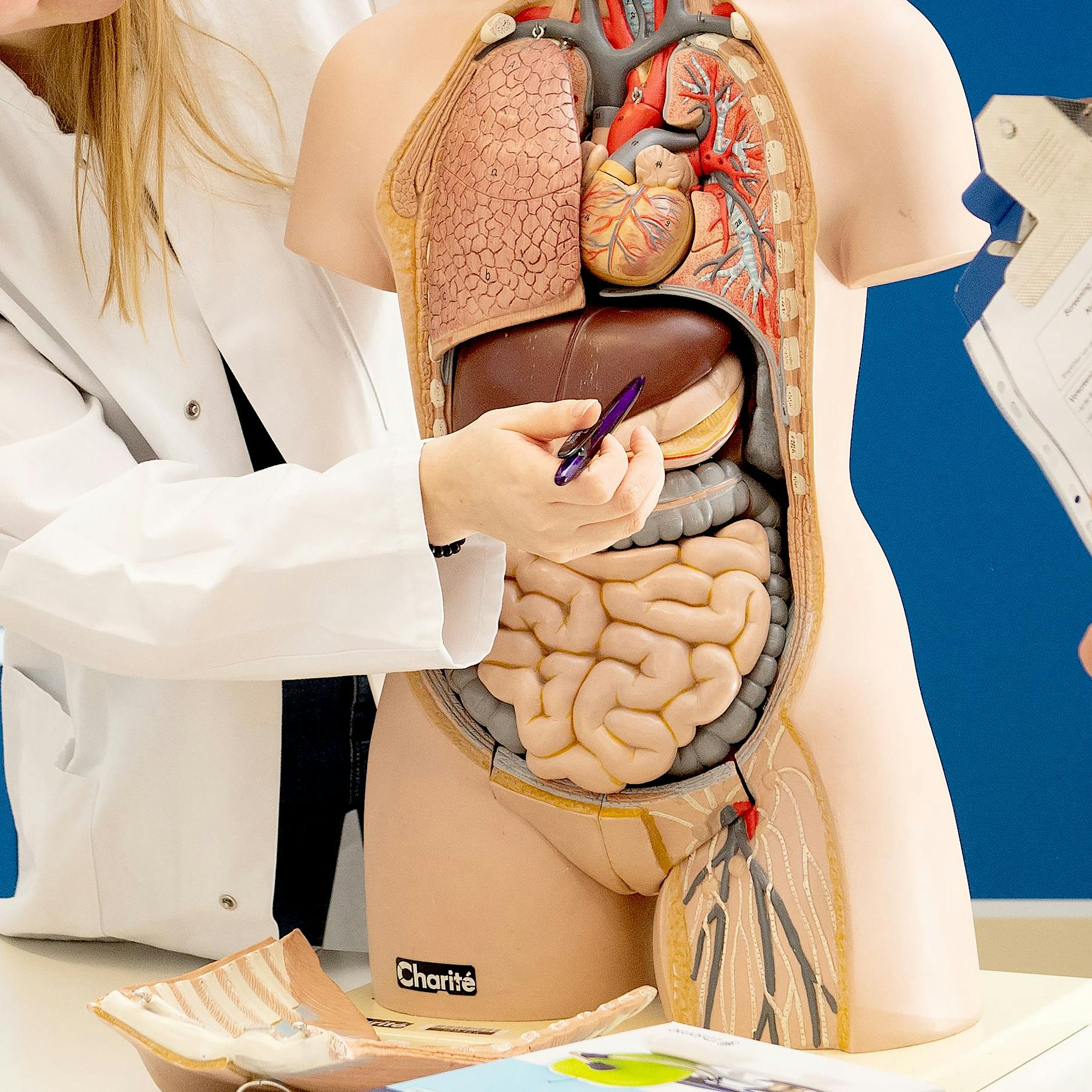 Mysteriöse Hepatitis: Erstes Kind in Deutschland betroffen