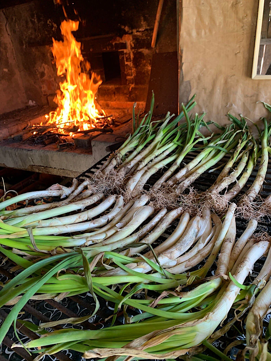 Es muss nicht immer ein Bruzzler von Wiesenhof sein: Gegrilltes Gemüse macht so froh wie ein schönes Nackensteak.