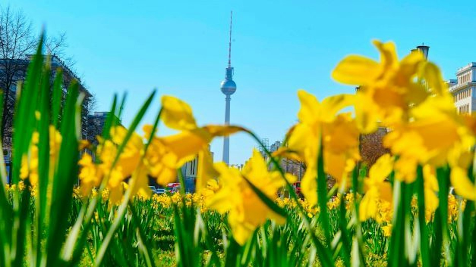 Berlin im Wonnemonat Mai ...