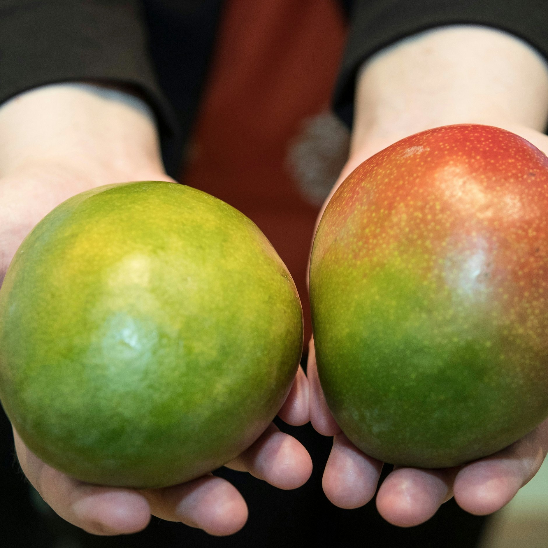 Grün oder rot: Allein anhand der Farbe der Schale lässt sich nicht erkennen, ob eine Mango reif ist.