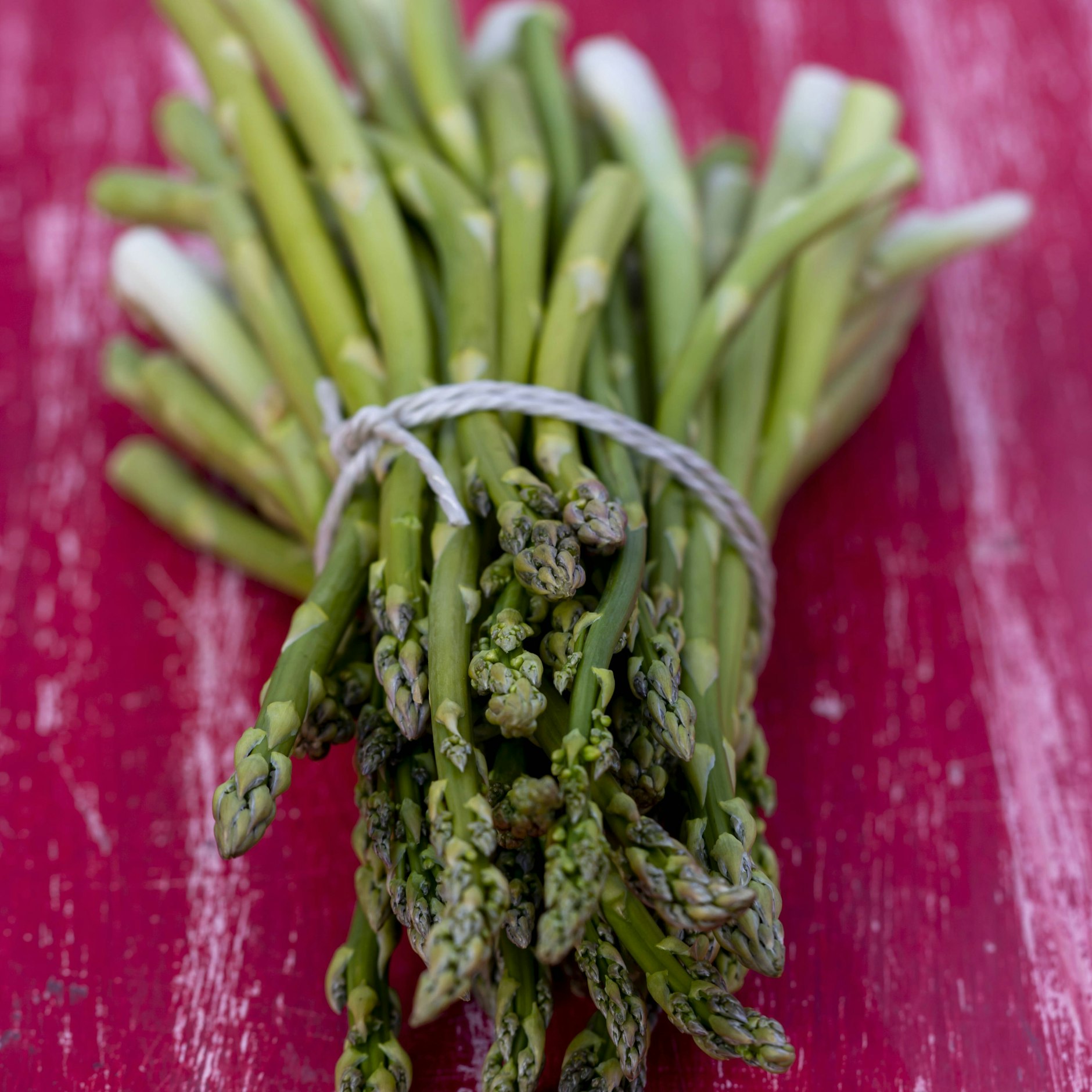 dpa-tmn/Andrea Warnecke