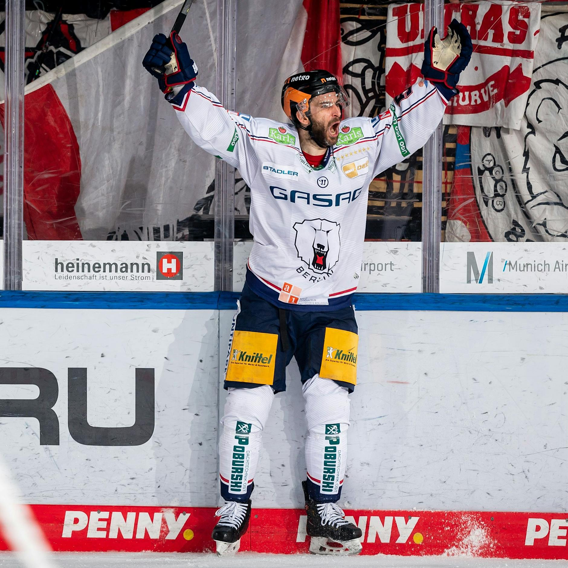 Marathon-Sieg in München: Diese Eisbären sind einfach nur der helle Wahnsinn!