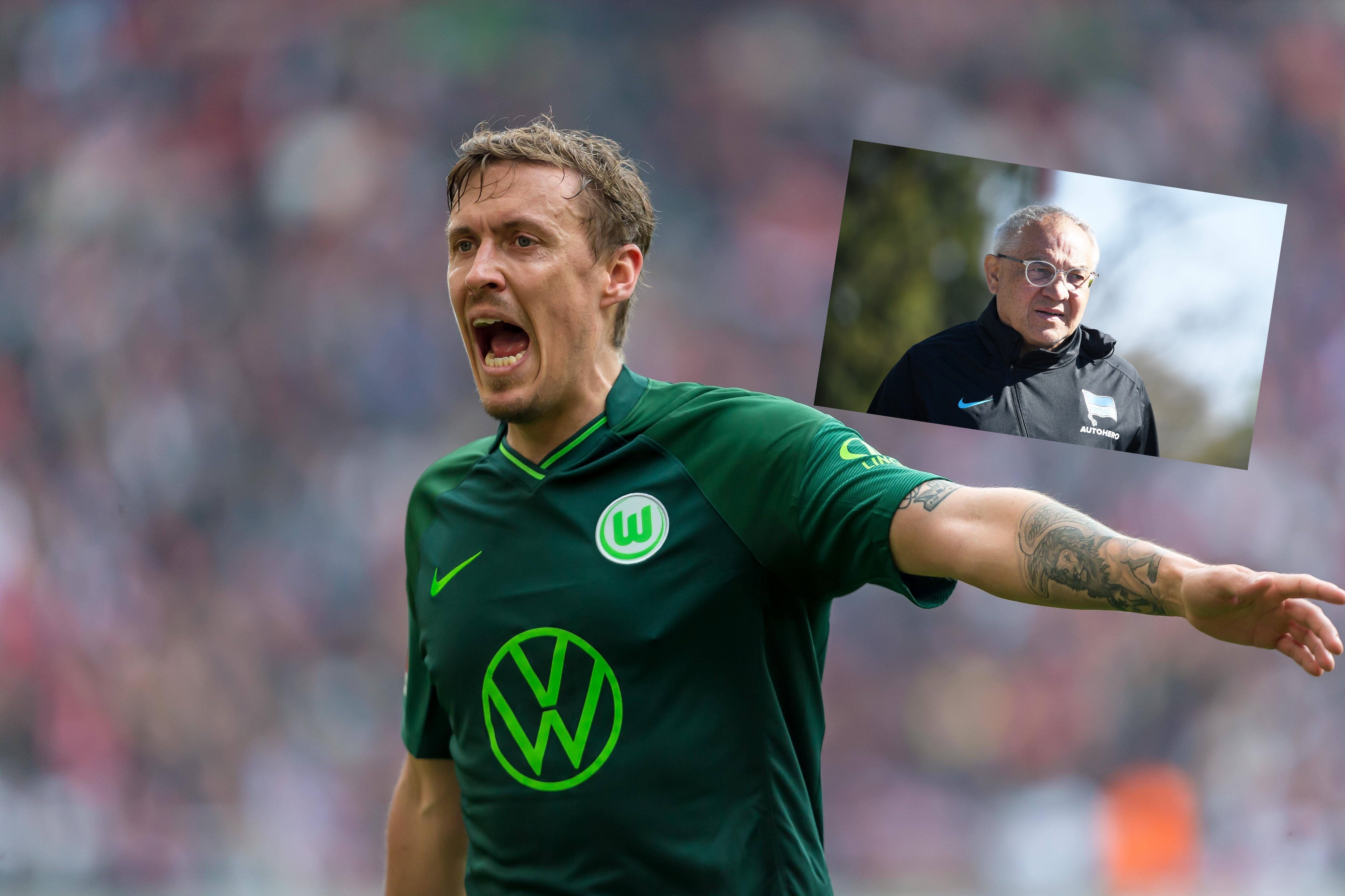 Image - Klassisches Eigentor? Ex-Union-Star Max Kruse pestet gegen Hertha-Trainer Felix Magath