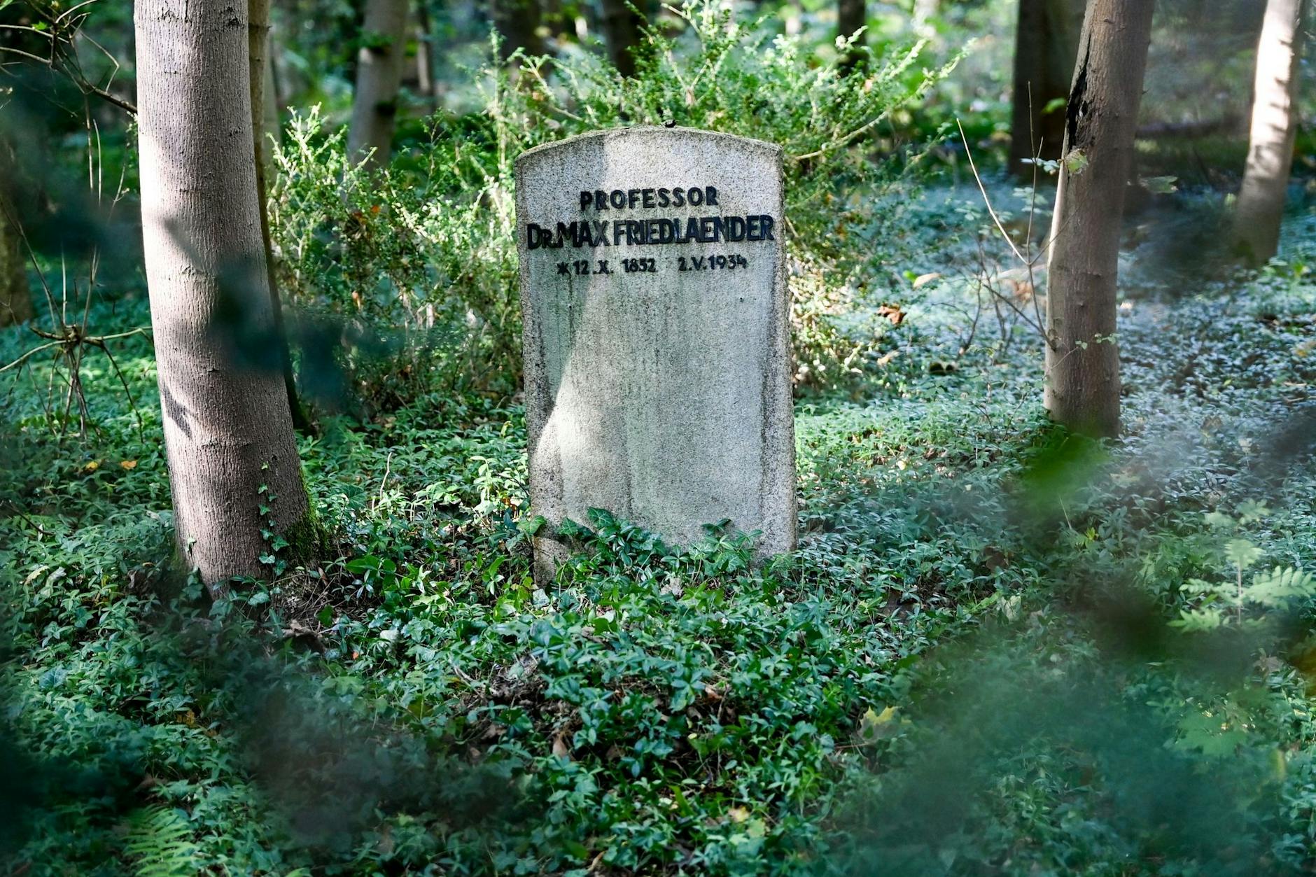 Das Grab von Max Friedlaender auf dem Stahnsdorfer Friedhof