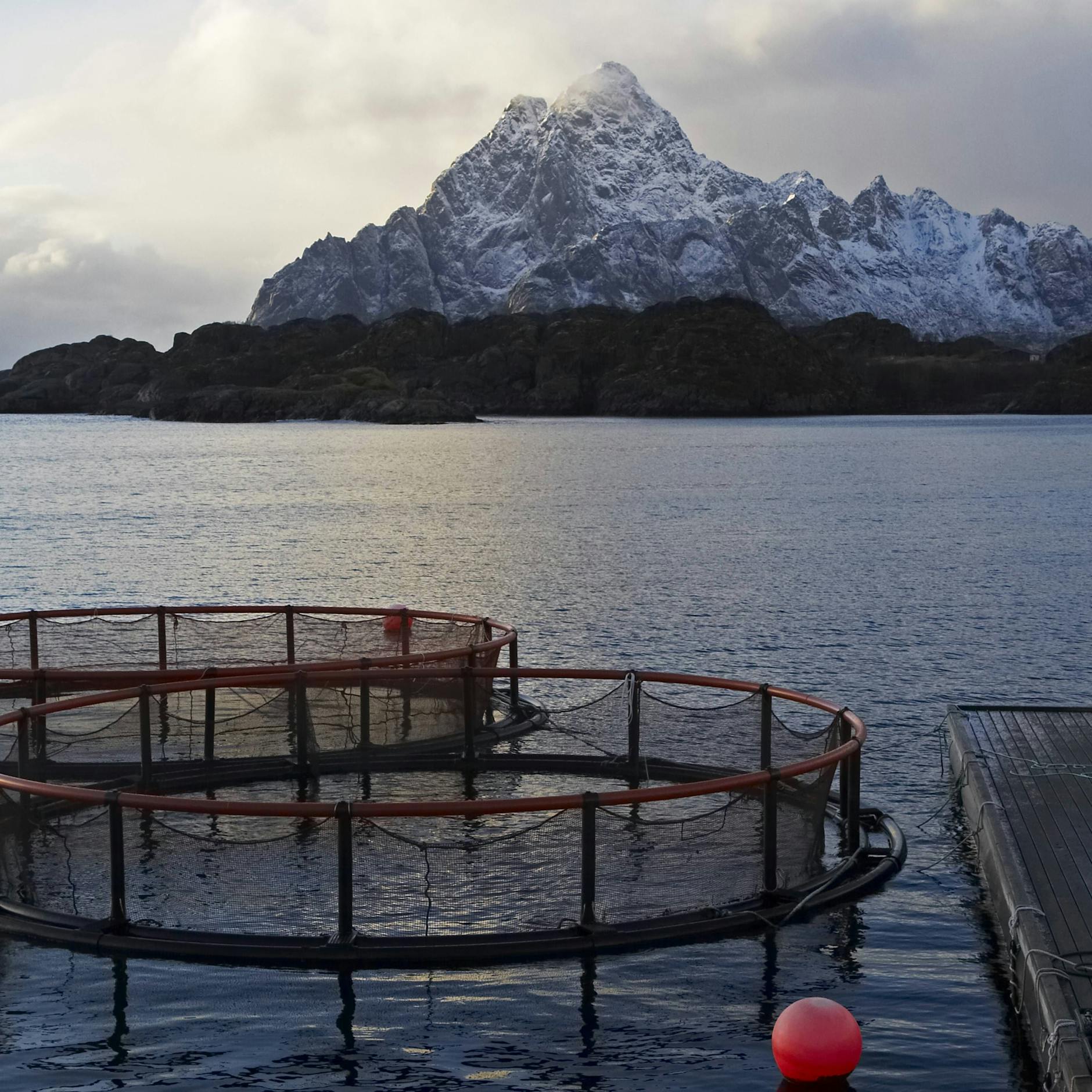 Eine Lachszucht vor atemberaubender Natur: Der Tod lauert unter Wasser.