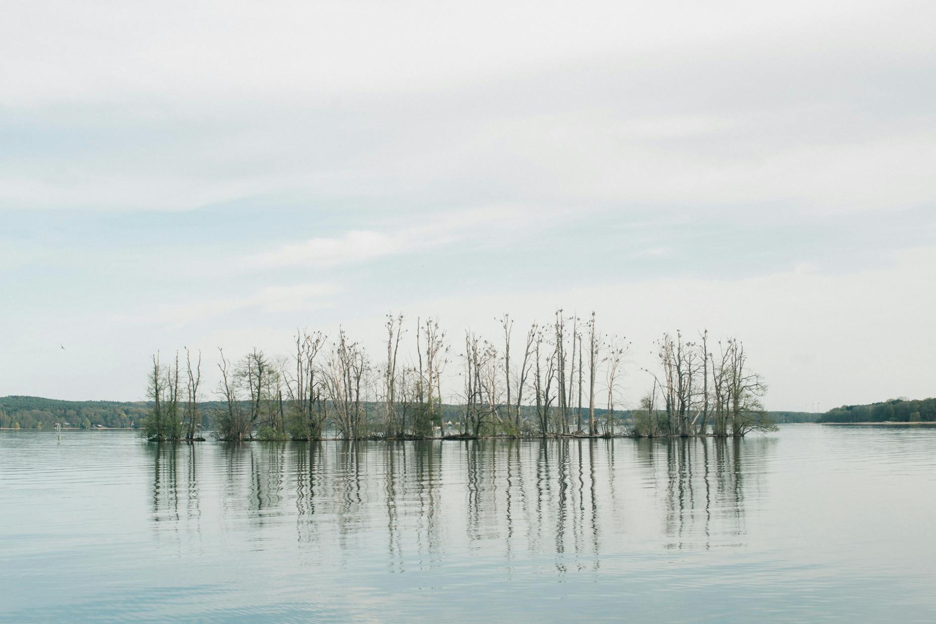 Gut gelegen: Noch steht nur der Rohbau des Luxus-Komplexes, der fabelhafte Seeblick ist aber schon da.